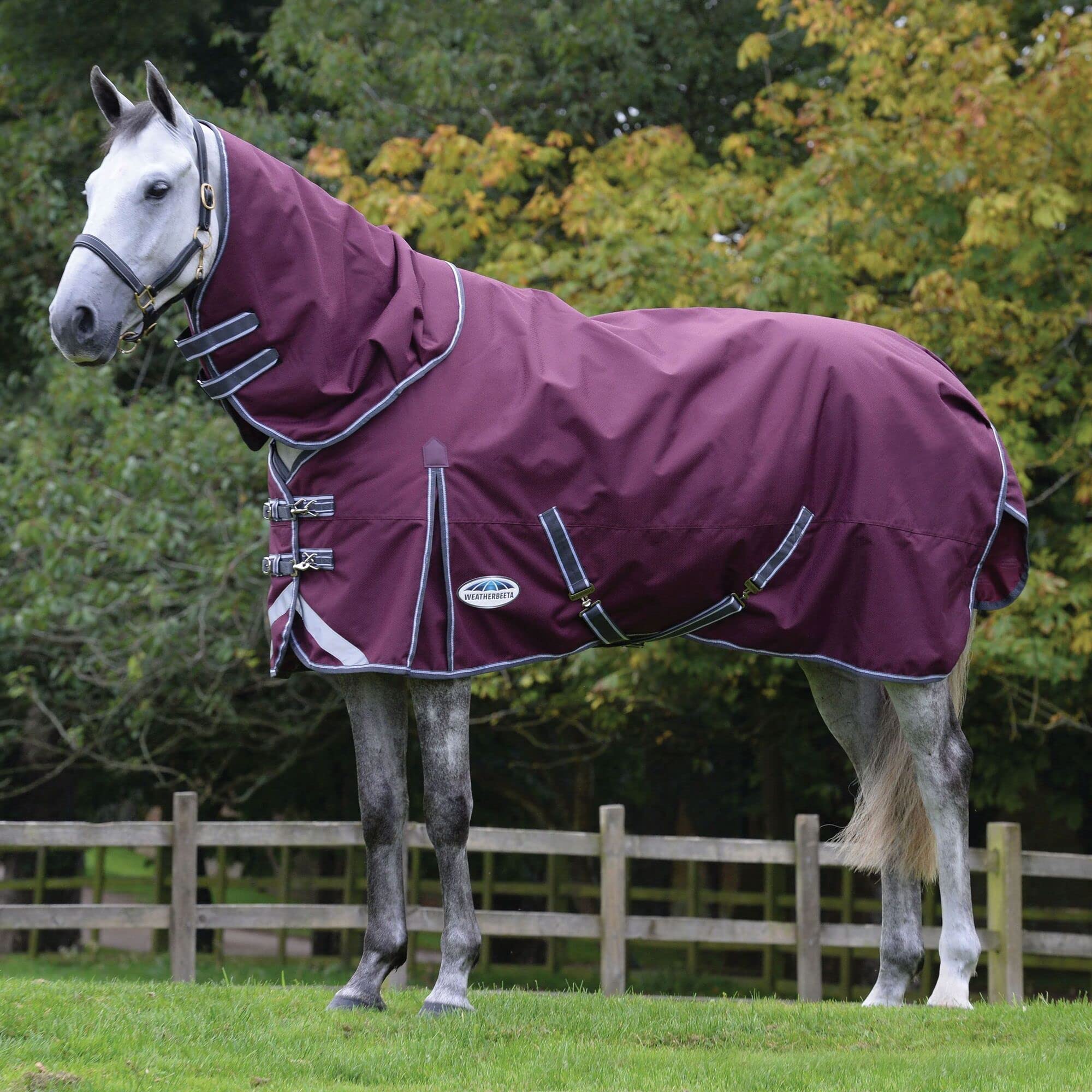 Weatherbeeta Comfitec Plus Dynamic Ii Detach-A-Neck Medium Horse Blanket, Maroon/Grey/White, 72'