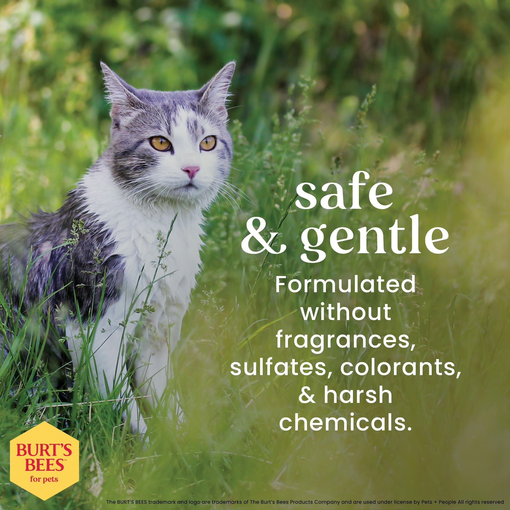 Burts Bees for Pets Anti-Hairball Wipes for Cats with Sunflower Oil and Wheat Germ Oil, 98% Natural Origin Formulas, Cat Hairba