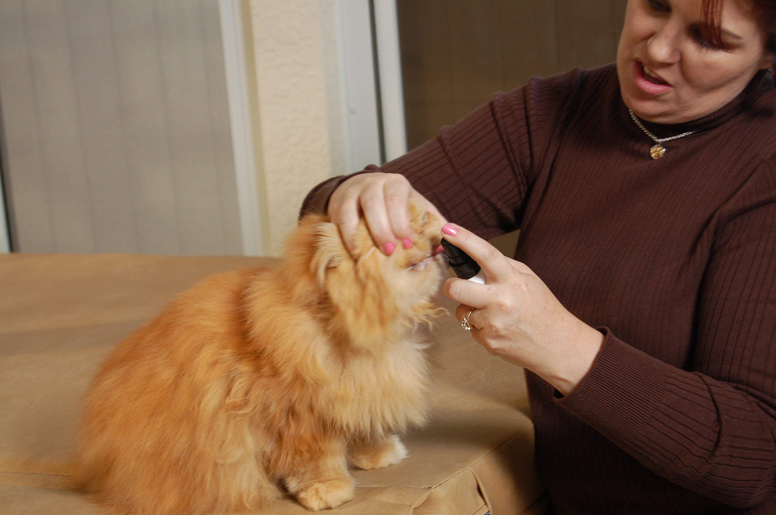 Plaque Attack Pet Dental Spray