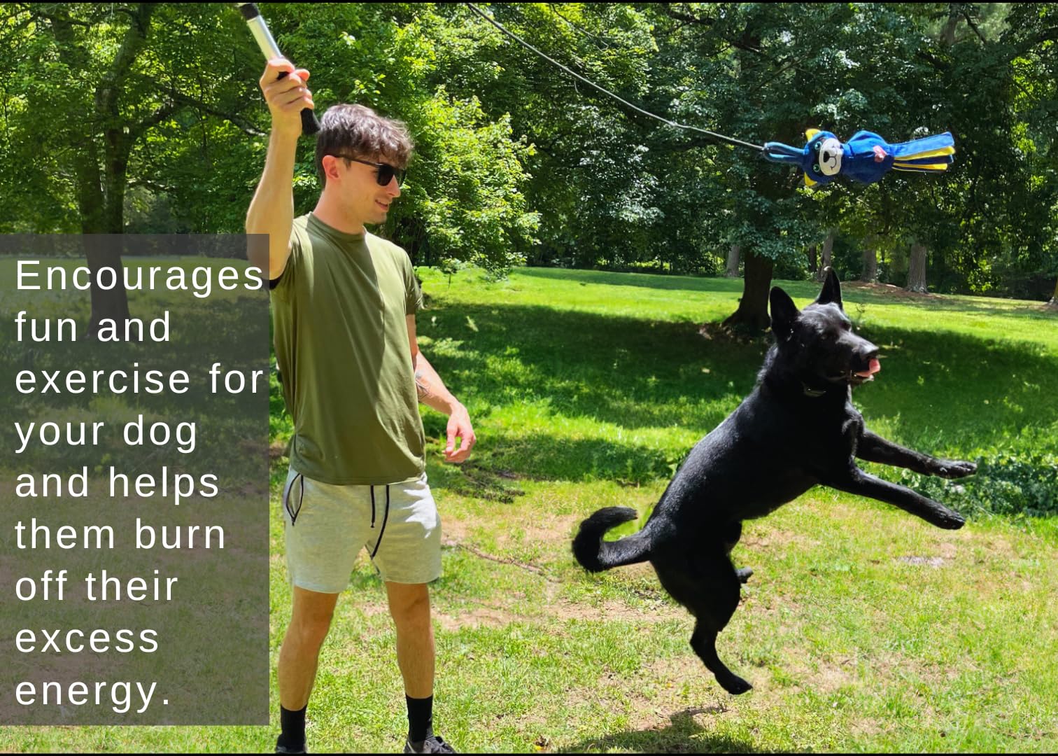 LUCOLOVE Flirt Pole for Dogs Heavy Duty - Multi-Sensory Tough Chase Toy for Medium & Large Breeds - Extra Strong 39 Dog Teaser W