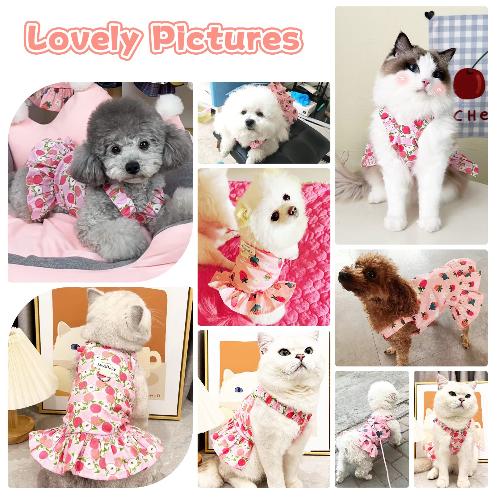 Petpubgnzs Small Dog Dress Harness And Leash Set - Cute Princess Dog Dresses, Soft Fruit Print, Pink Apple, Xl