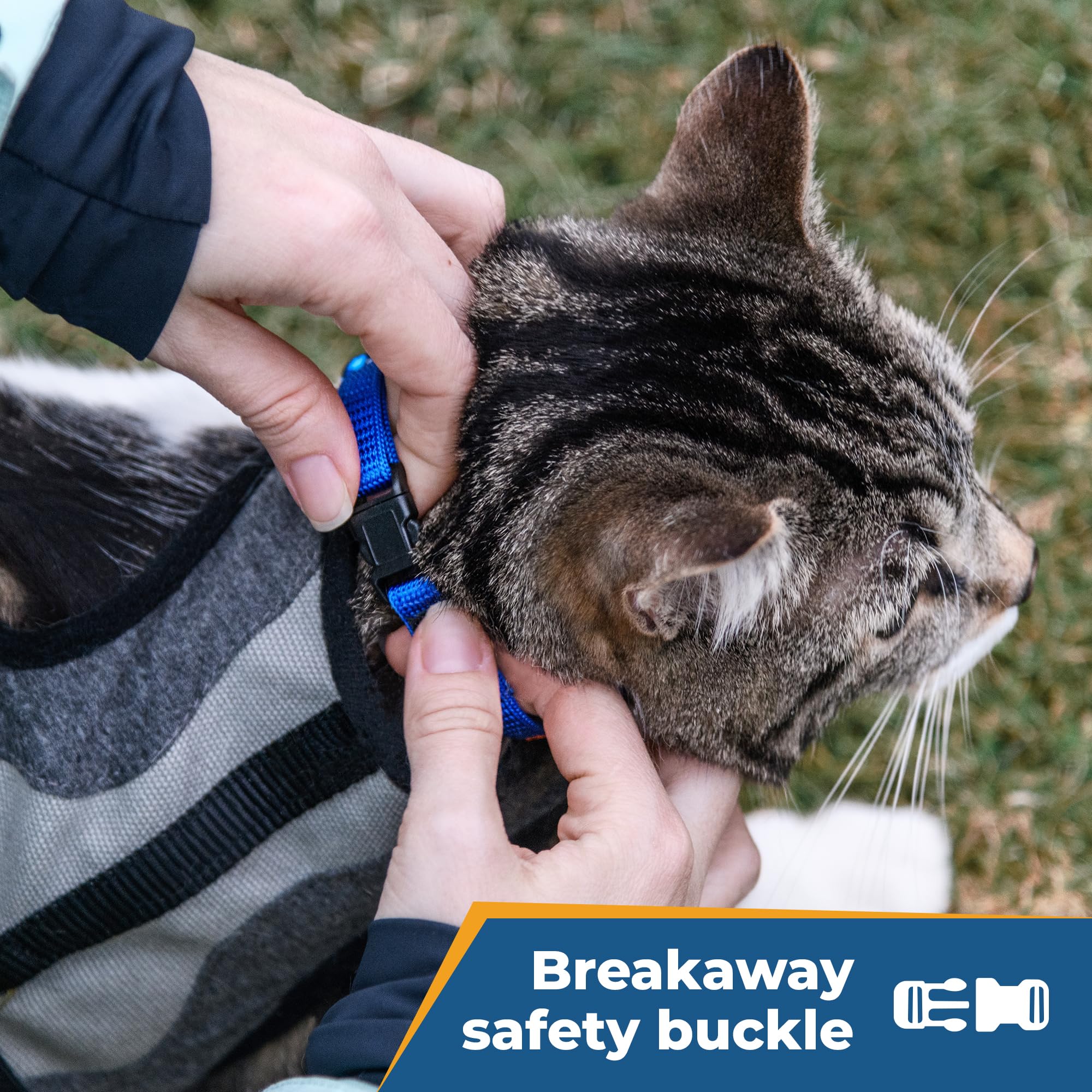 Gotags Personalized Cat Collars With Breakaway Safety Release Buckle, Custom Embroidered Cat Collar With Pet Name And Phone Numb