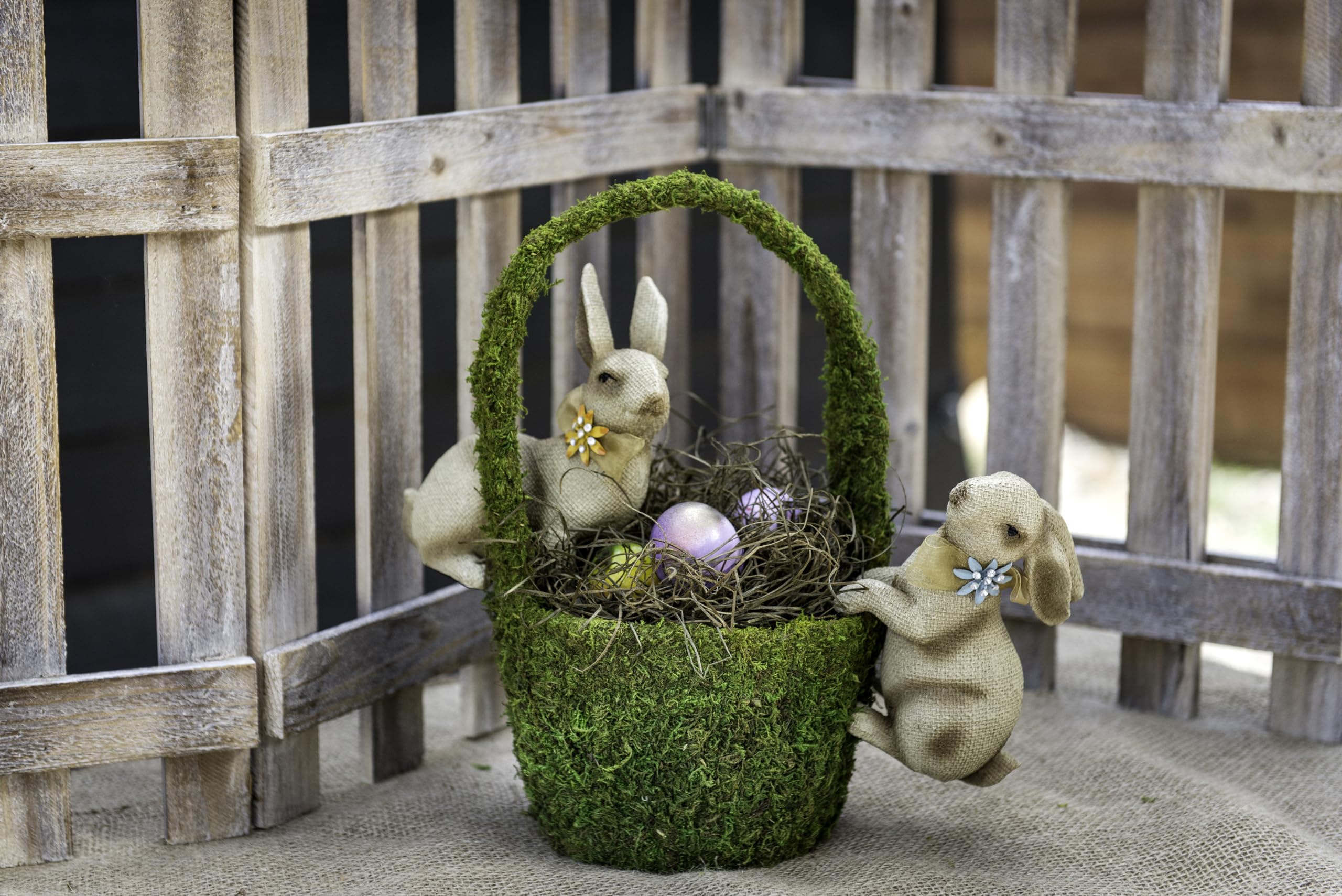 SuperMoss (15654) Aspen Wood Excelsior - Natural Wood Moss Filler for Gift Baskets, Chicken Nesting Boxes, Pet Hamster Bedding,