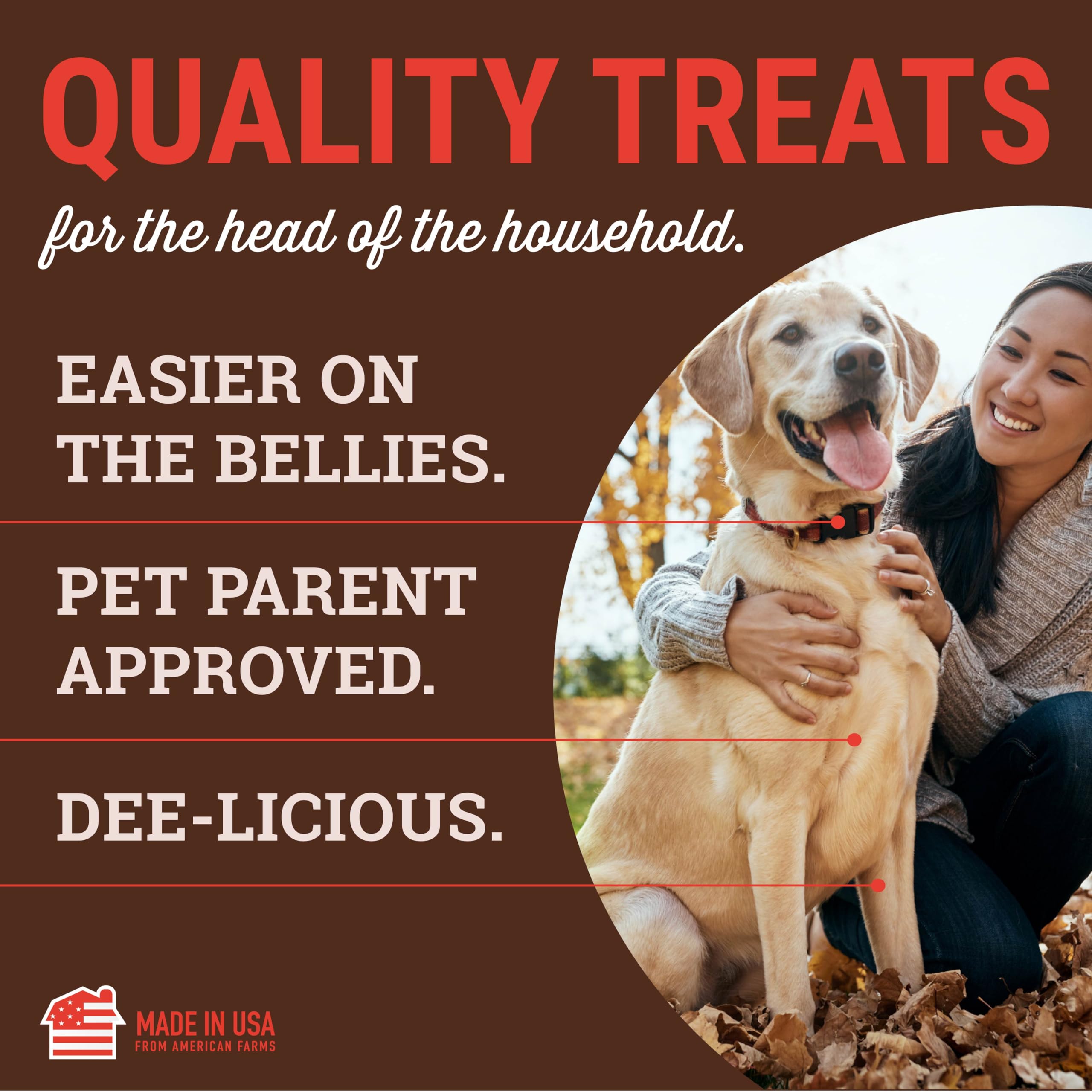 etta says! Yumm Sticks - Real Meat Beef Dog Jerky Treats - Human Grade - Made in The USA (24 Count Pack of 1)
