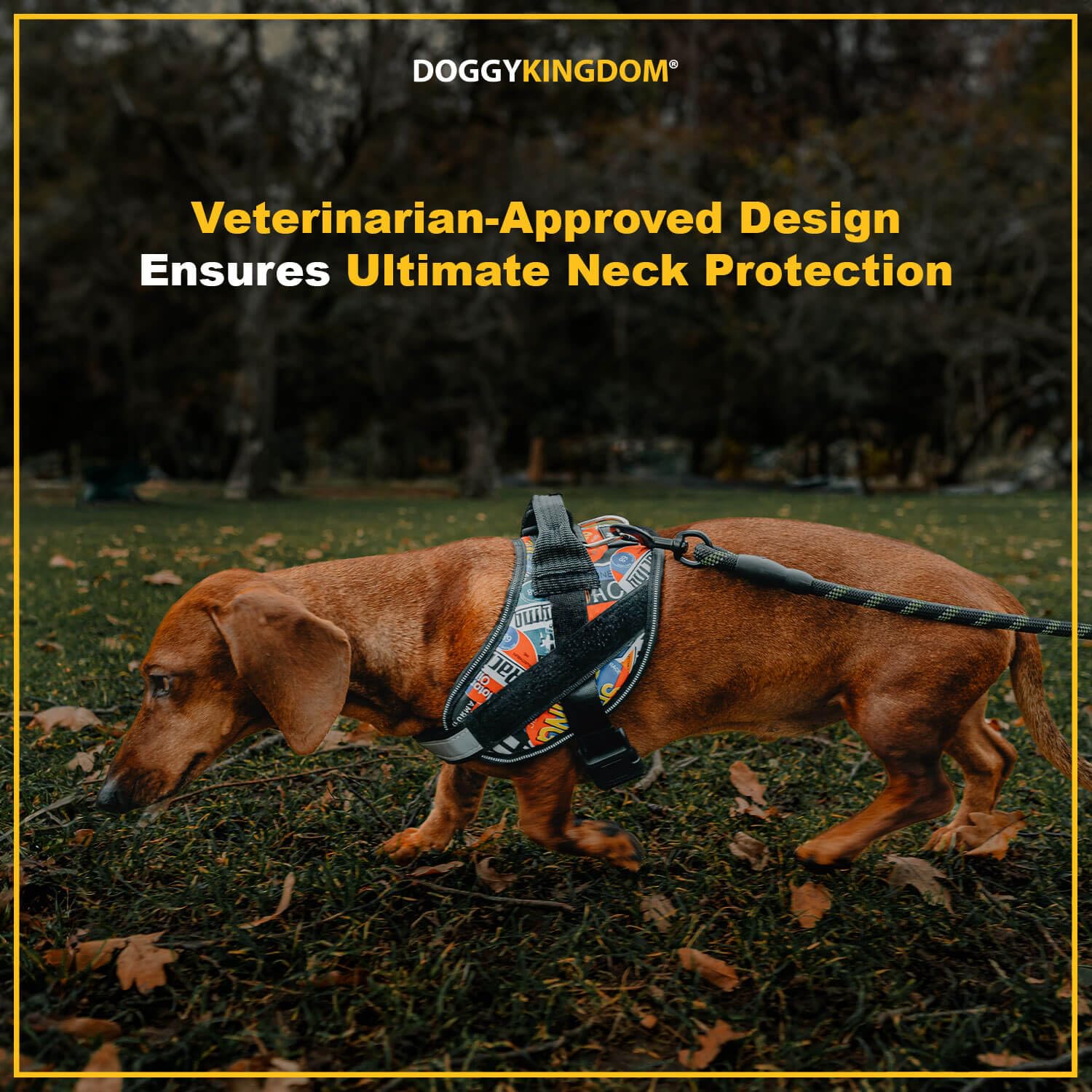 Doggykingdom Non Pull Dog Harness With Patch Panels And Handle, Adjustable, Reflective, No Choke, Heavy Duty Easy On Service Dog