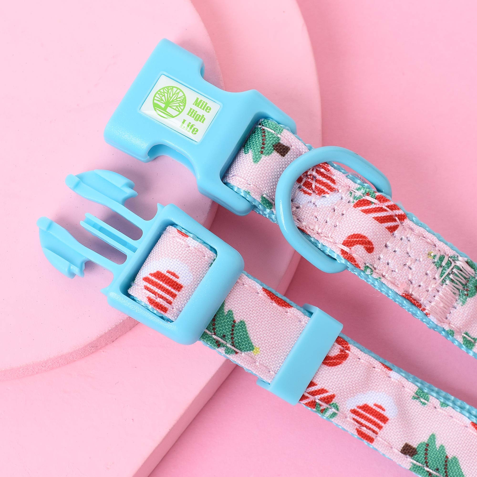 Mile High Life | Girl Dog Collars | Cute Bandana Collar | Soft Poly Cotton Fabric Collars For Small Dogs | Flower & Fruit Patter