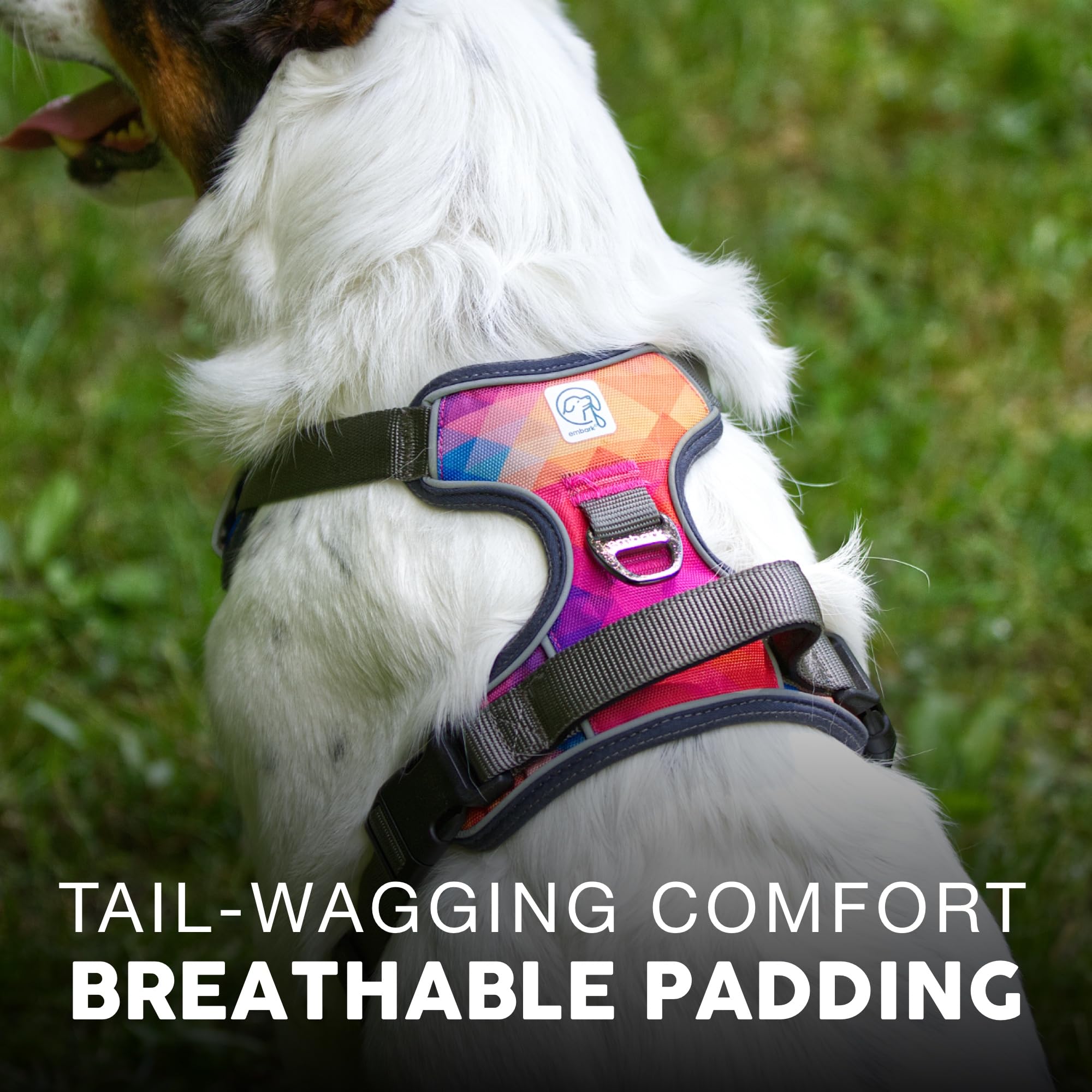 Embark Adventure Dog Harness, No-Pull Reflective Trim Dog Harness For Small, Medium & Large Dogs - Heavy Duty Oxford, 2 Leash Cl