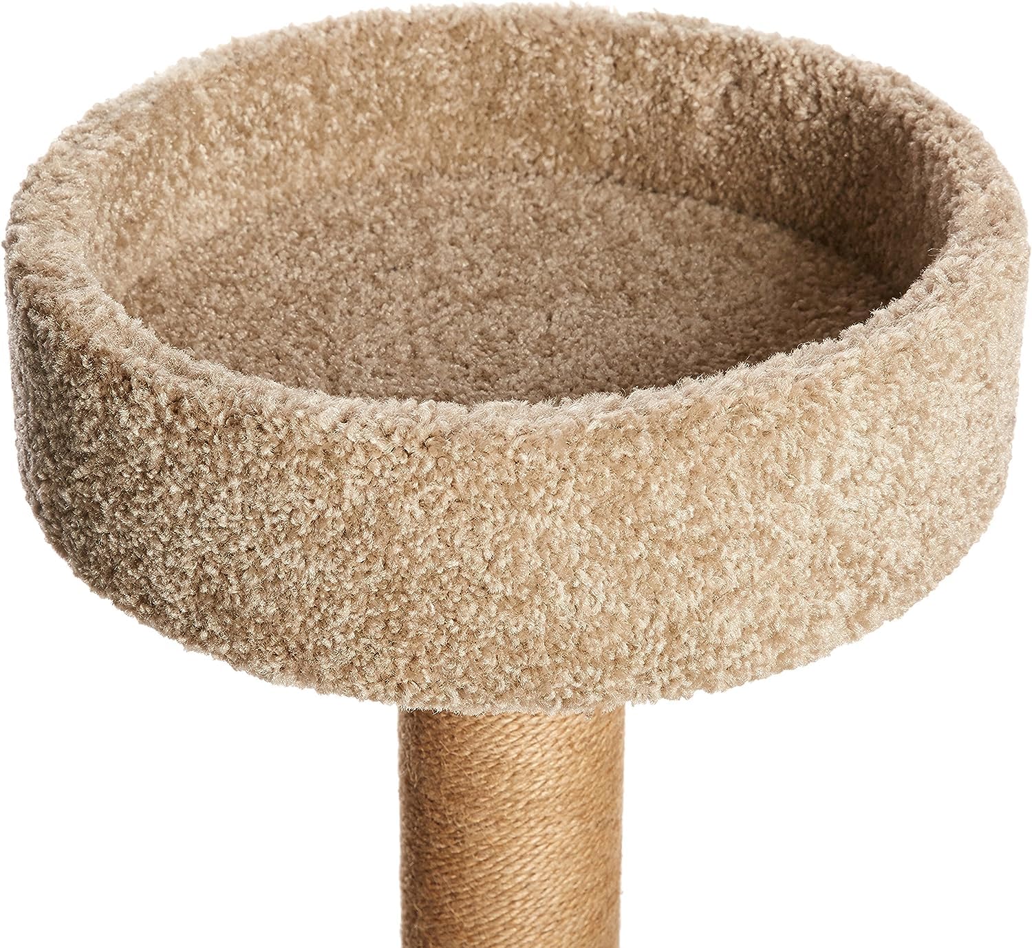 Amazon Basics Cat Tree - Indoor Cat & Kittens Multi-Level Climbing Activity Tower With Scratching Posts, Medium (31.5''H) - Beig