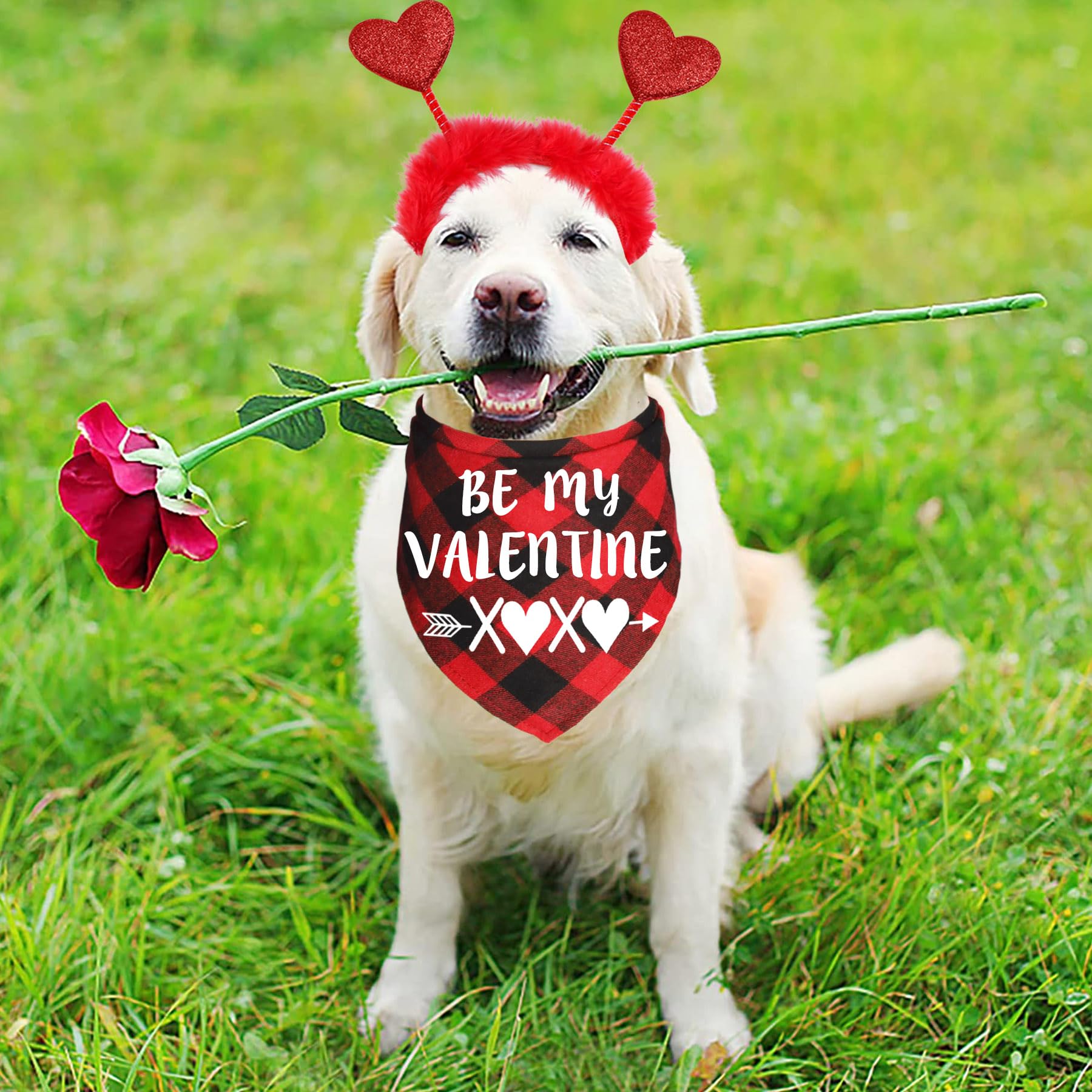 JOTFA Valentines Dog Bandanas Costumes, Valentines Dog Outfits Heart Headband Bandanas for Small Medium Large Dogs (Red, Be My V