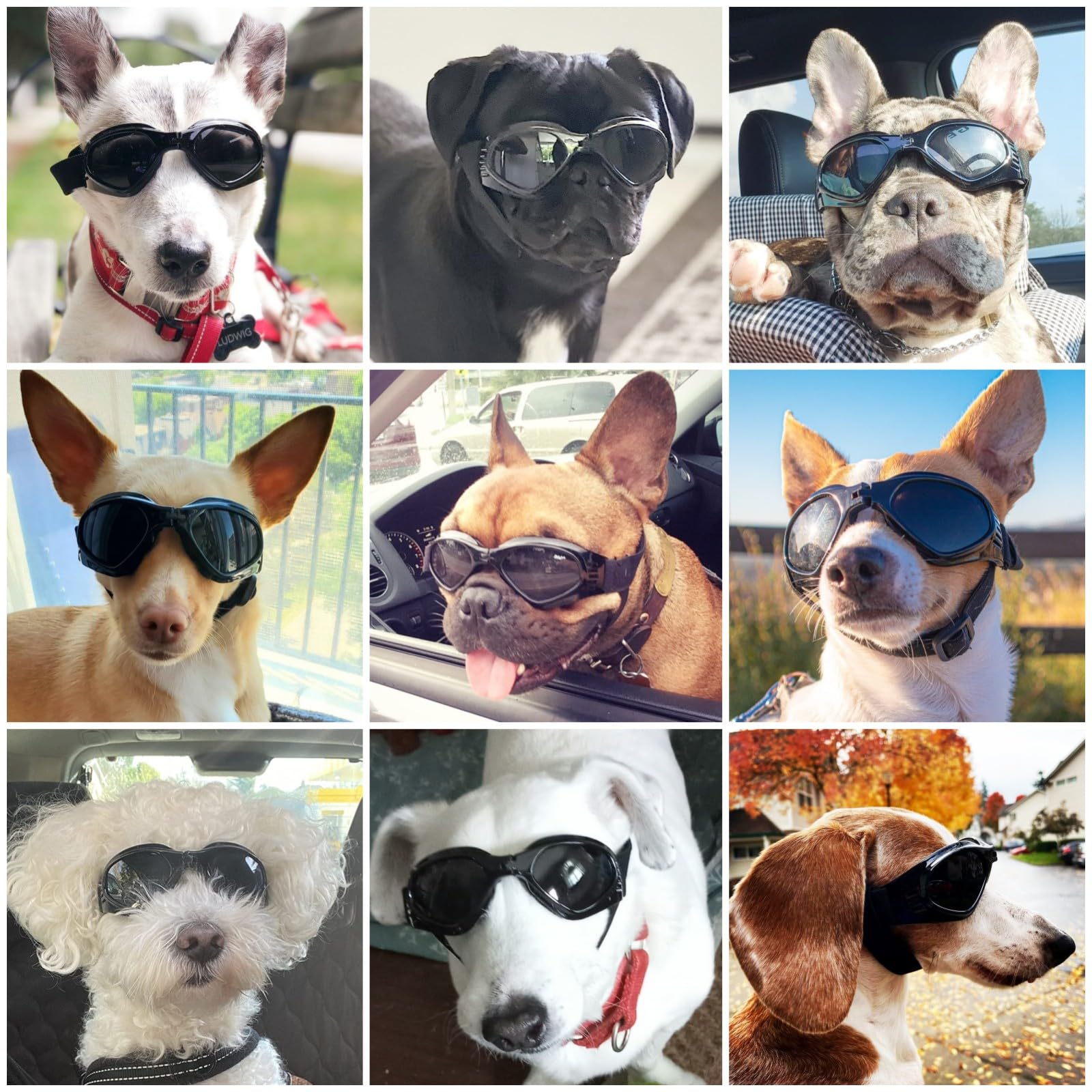 Namsan Dog Sunglasses Medium Breed, Uv Protection Goggles For Dogs Small To Medium Breeds, Outdoor Riding Dog Eye Protection, An