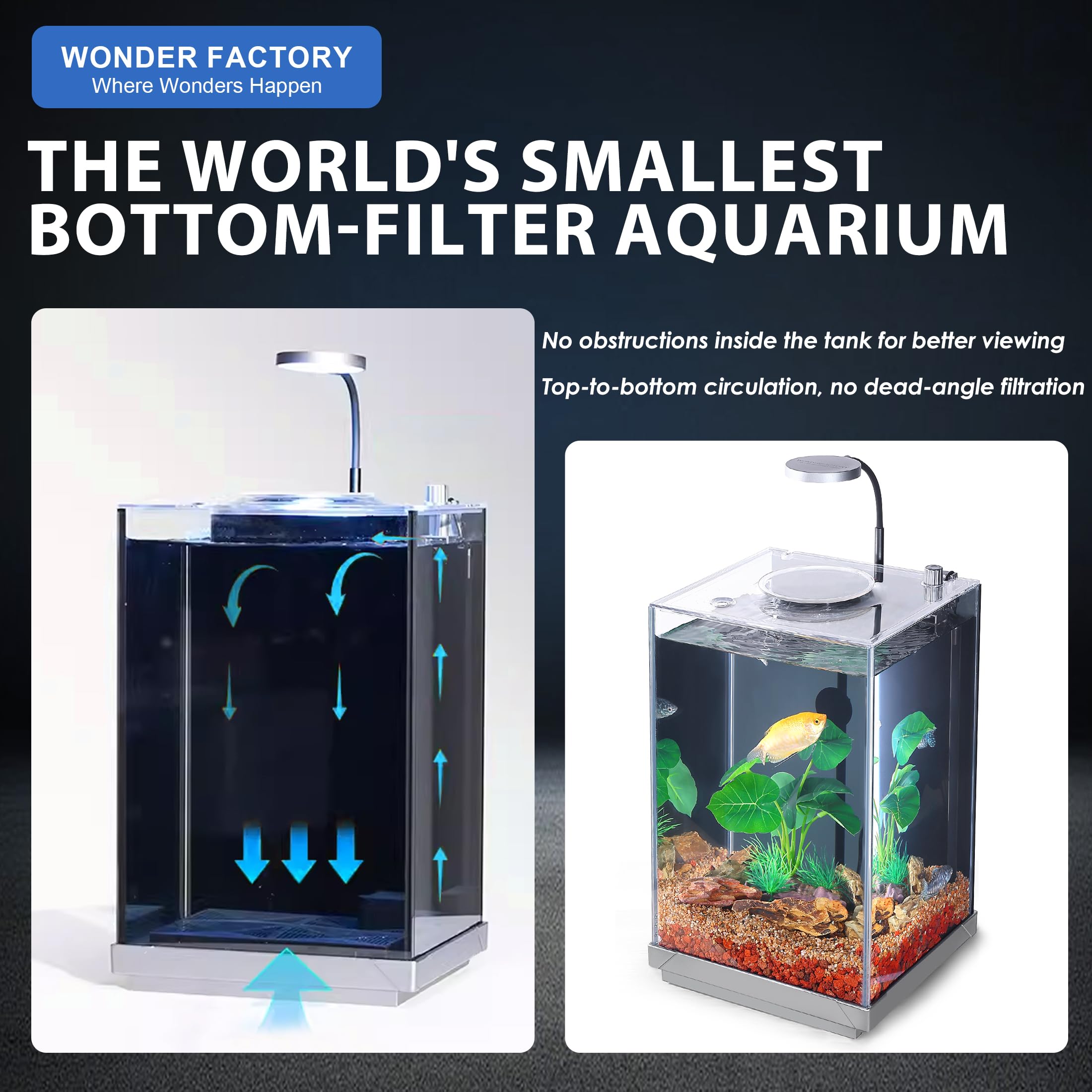 2.6 Gallon Small Aquarium, Glass Tall Desktop Betta Fish Tank AIO Starter Kit, Self Cleaning Hidden Filtration Bottom Filter wit