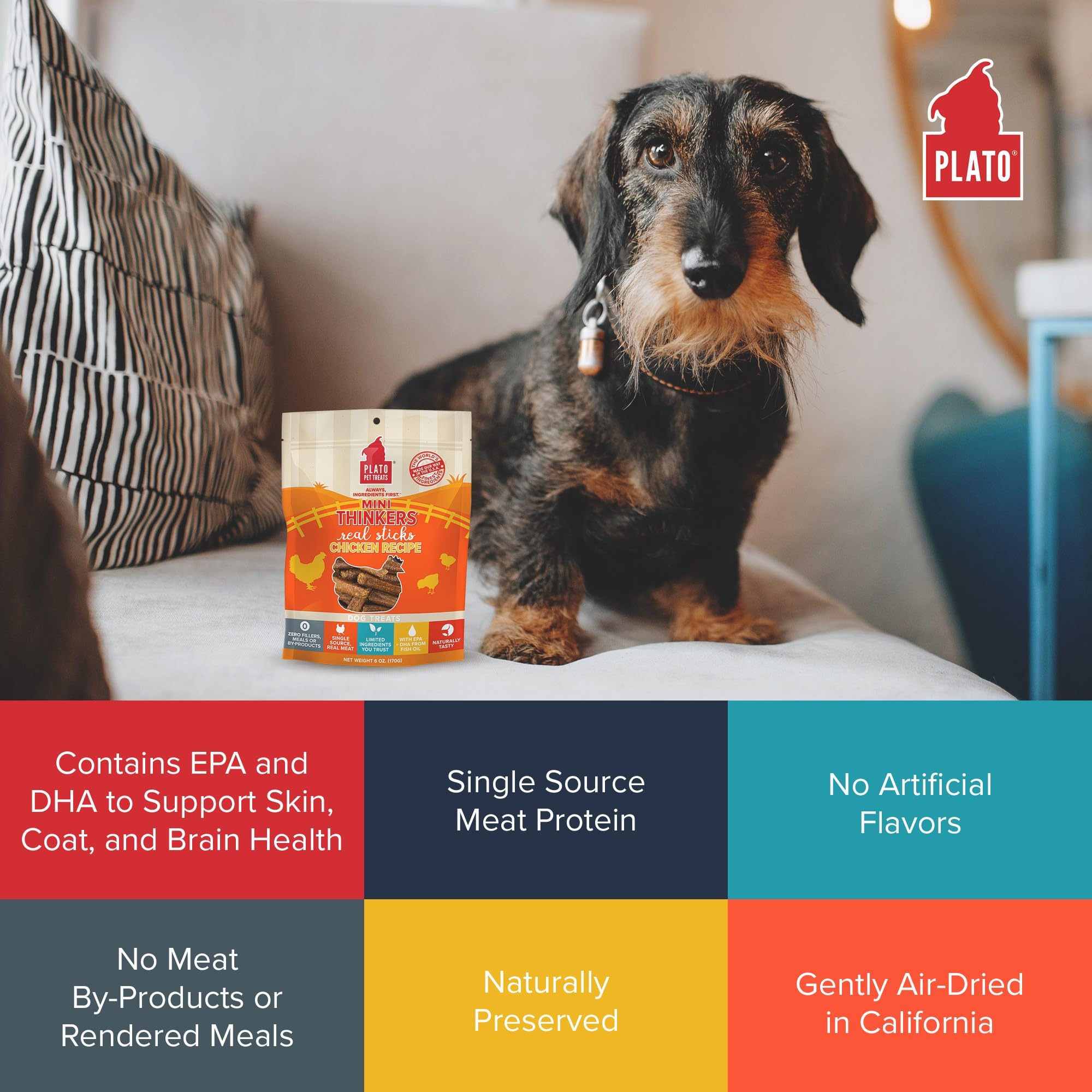 Plato Dog Mini Thinkers Chicken 6Oz