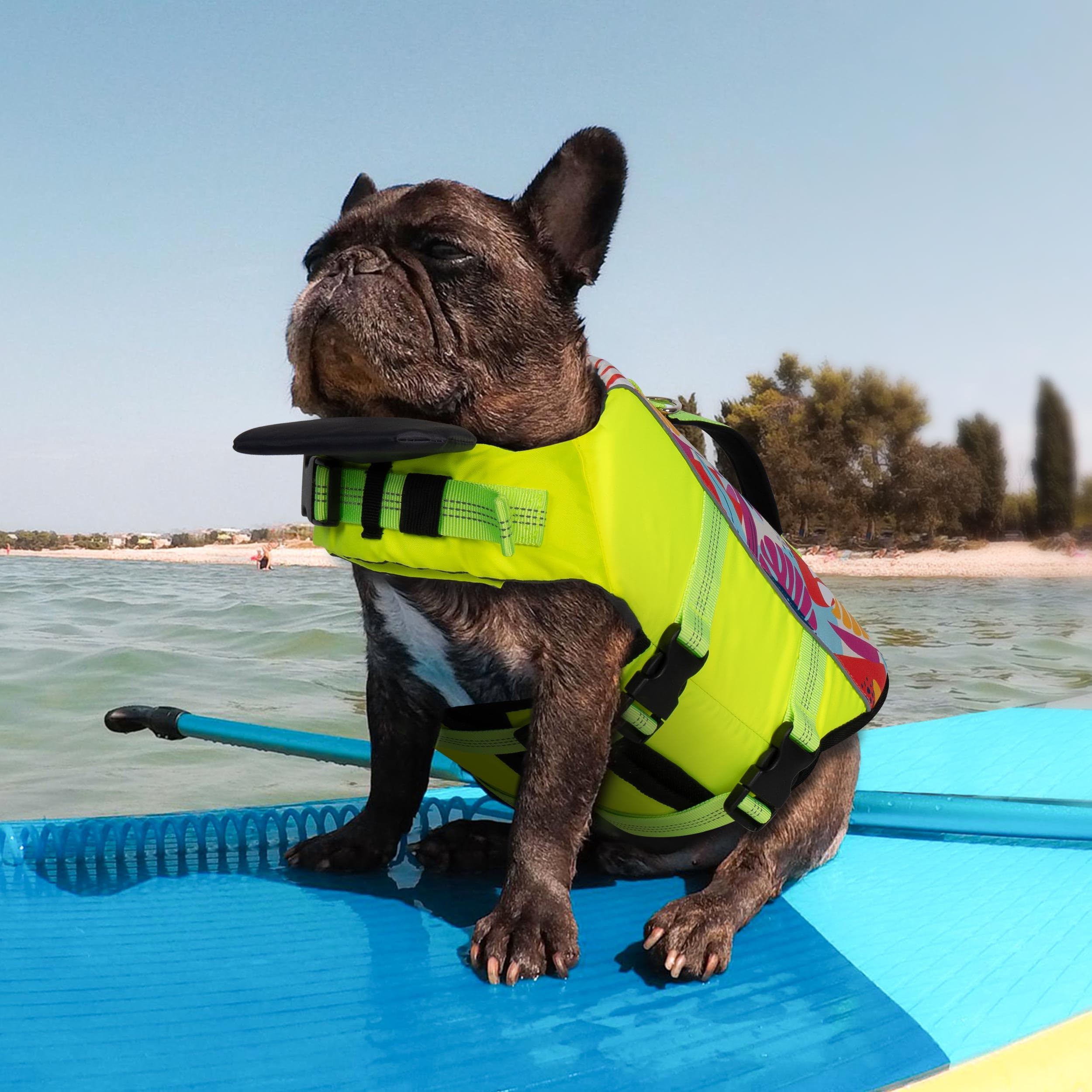 Cyeollo Dog Life Jacket Reflective Printed Dog Life Vest For Swimming Boating, High Buoyancy Pet Safety Vest Lightweight Small M