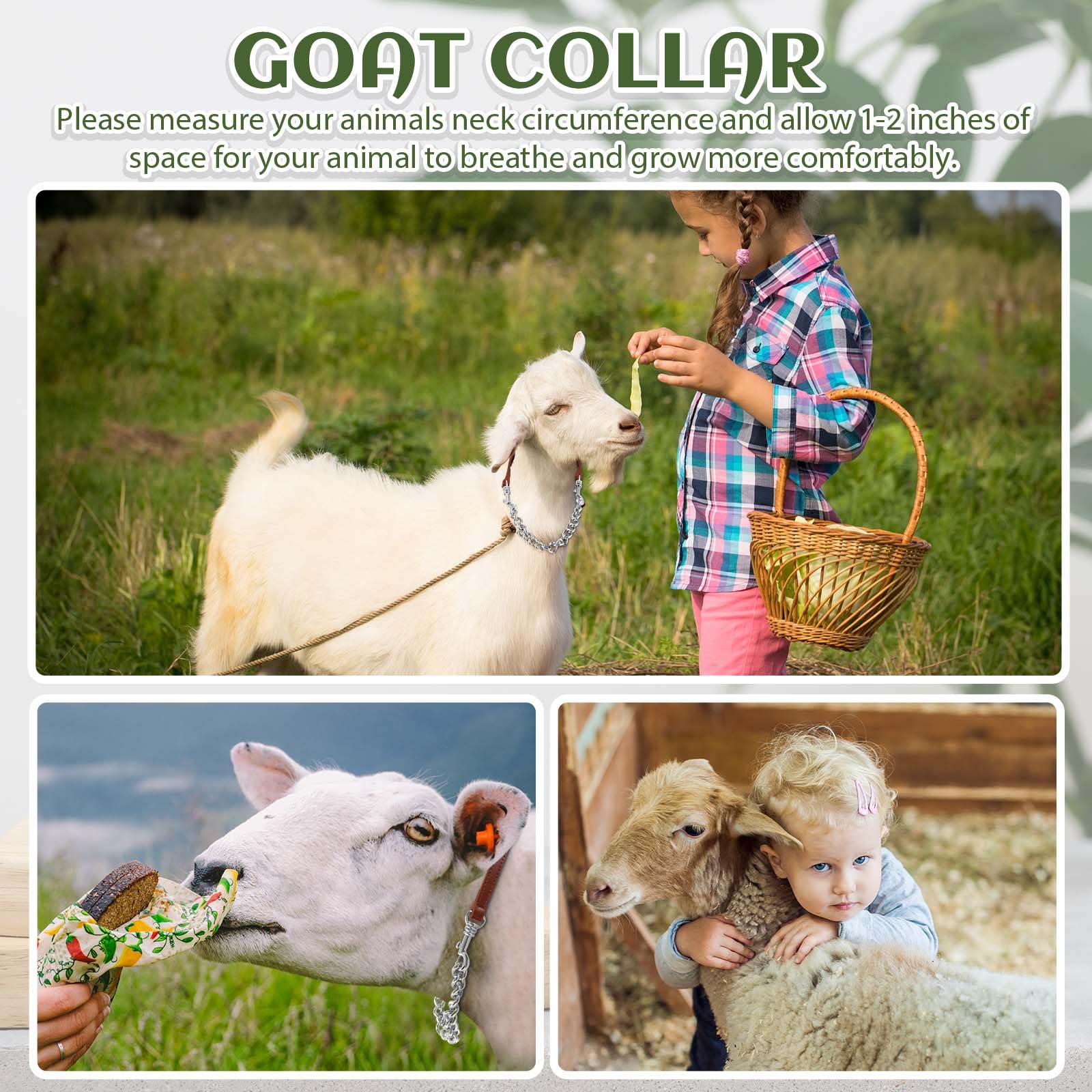 Misdary 1 Pcs Goat Show Collar Adjustable Iron Goat Chain Halter 14-24 Long for Sheep Horse Dog Cow Calf Farm Animal Supplie