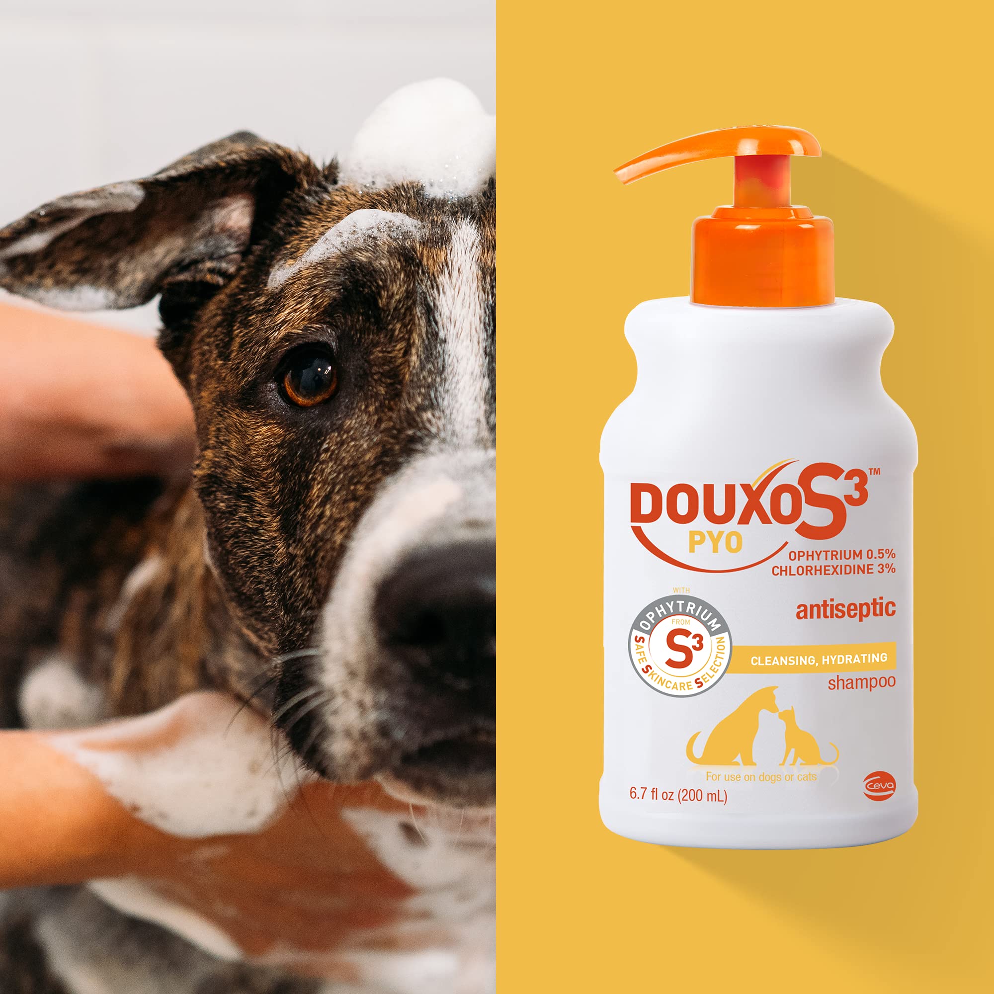 Douxo S3 Pyo Shampoo for Dogs & Cats, 3% Chlorhexidine, 0.5% Ophytrium, 16.9 fl. oz., Antiseptic &