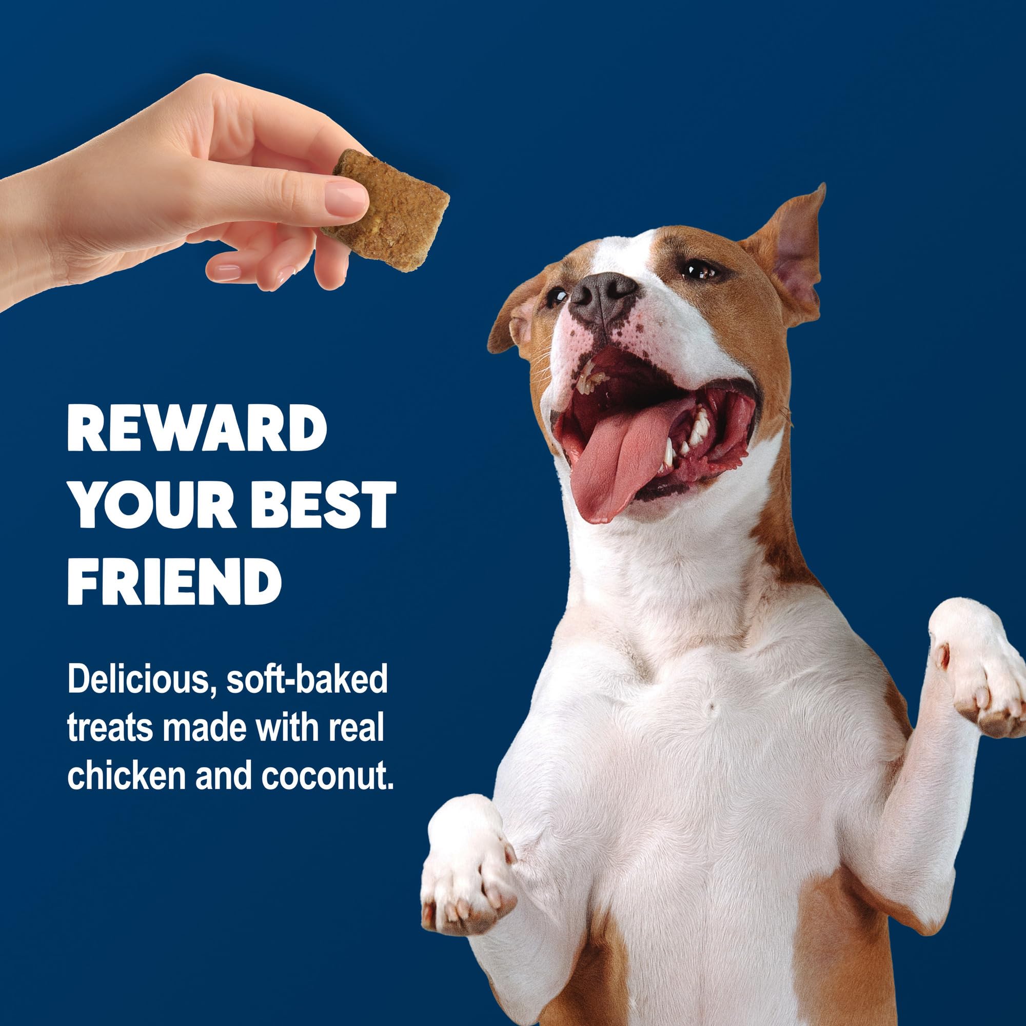 Blue Buffalo BeneBars Skin & Coat Support Dog Treats with Omega 3 & 6 Fatty Acids, Made with Natural Ingredients, USA Chicken &