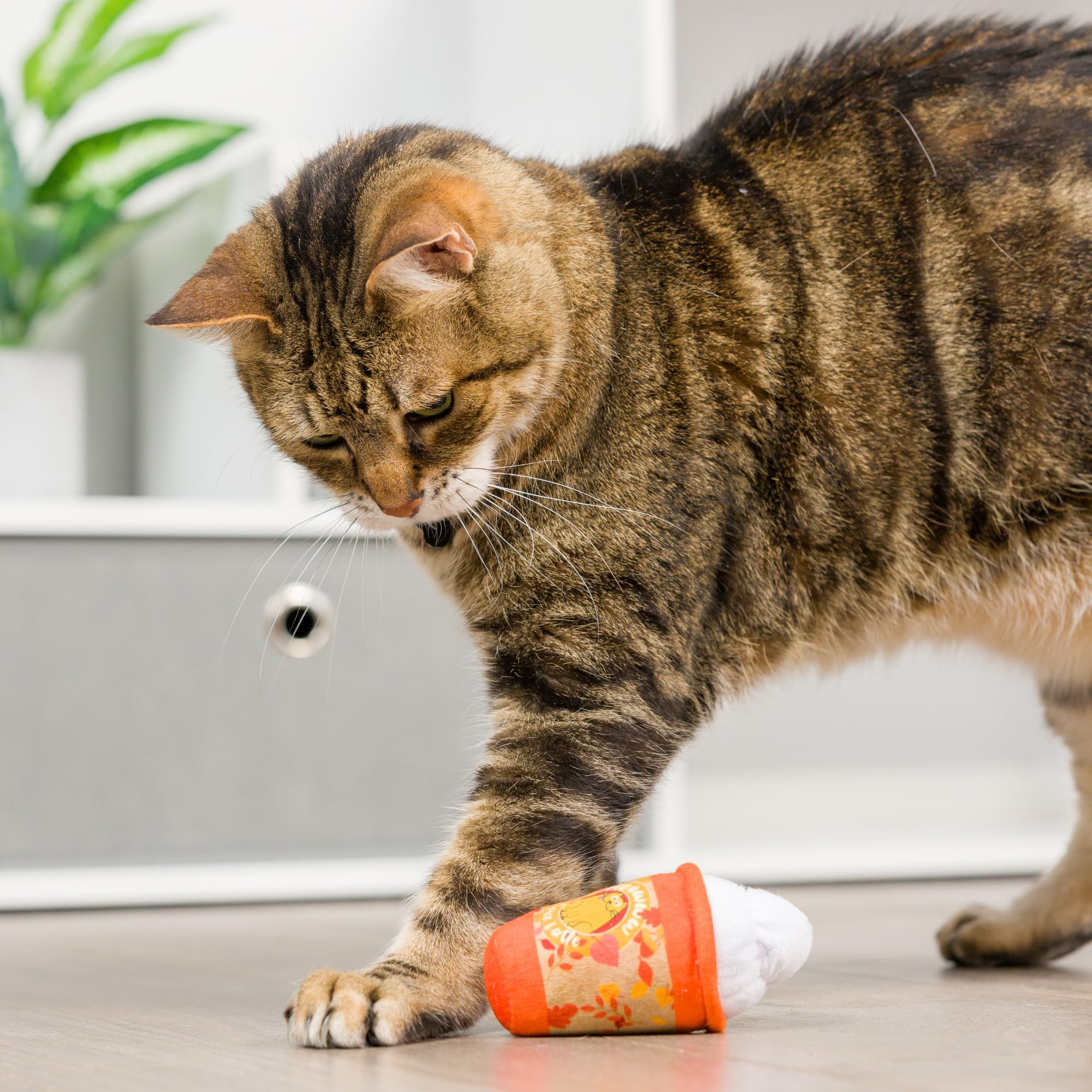 Huxley & Kent Meowww Spice Latte Plush Cat Toy | Fall Season Strong Catnip Filled | Interactive Kitten Toy With Crinkle | Kittyb