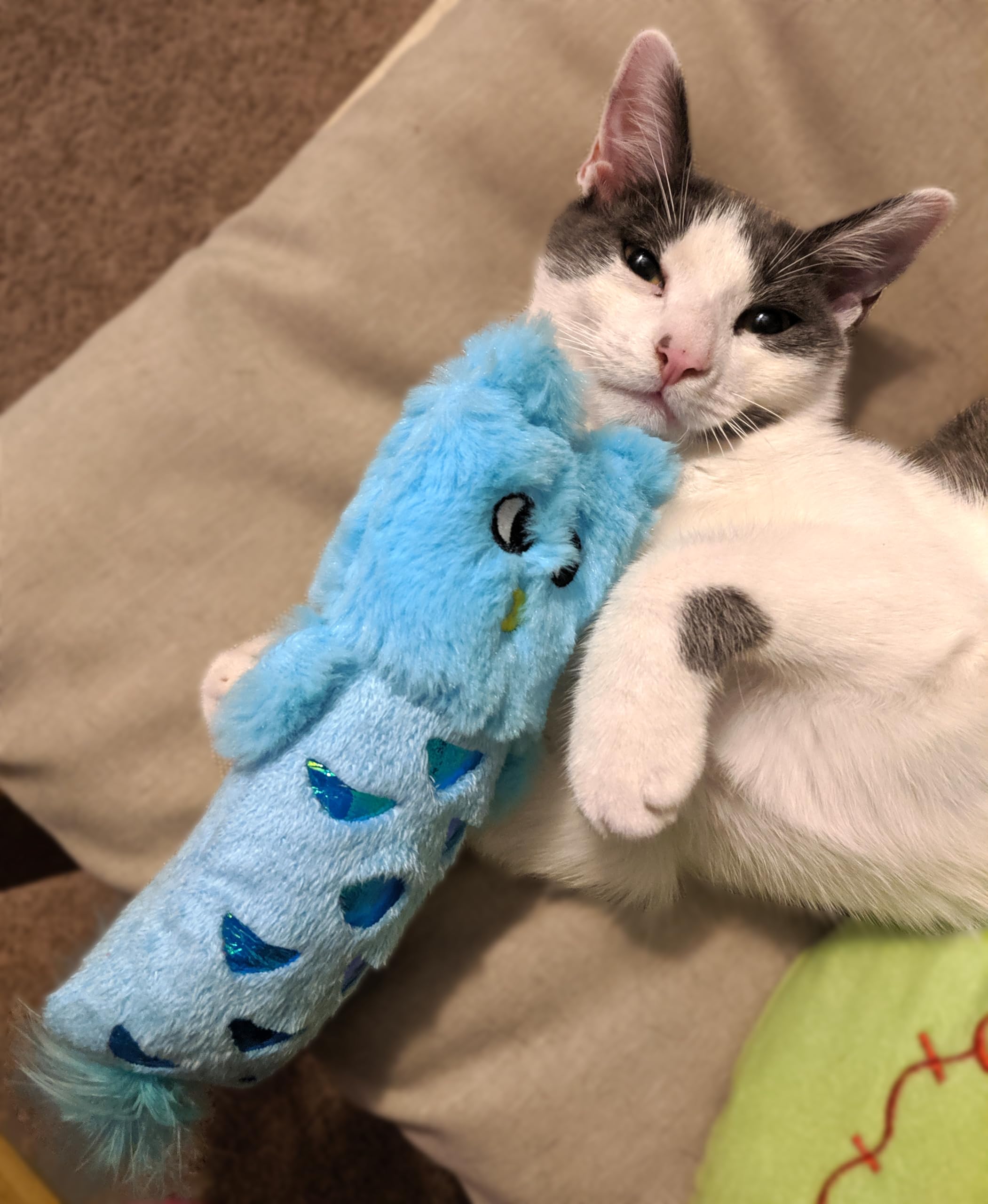 Spot Hug'N Kick Shimmer Glimmer Cat Toy With Catnip Assorted Figures