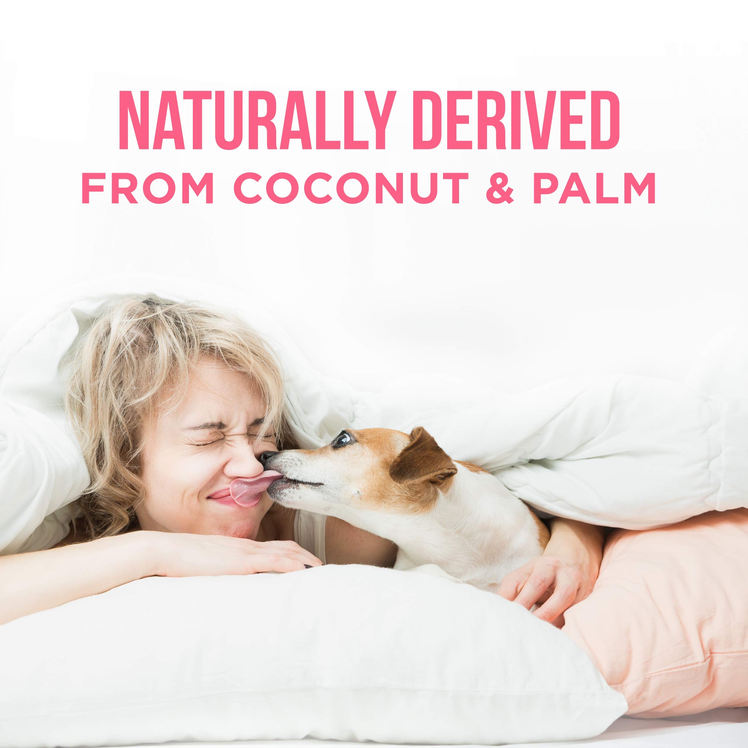 Natural Rapport Dog Deodorant Spray, The Only Between Bath Spray Dogs Need, Natural Cat And Dog Perfume Spray Eliminates Smelly Odours Between Baths (Female)