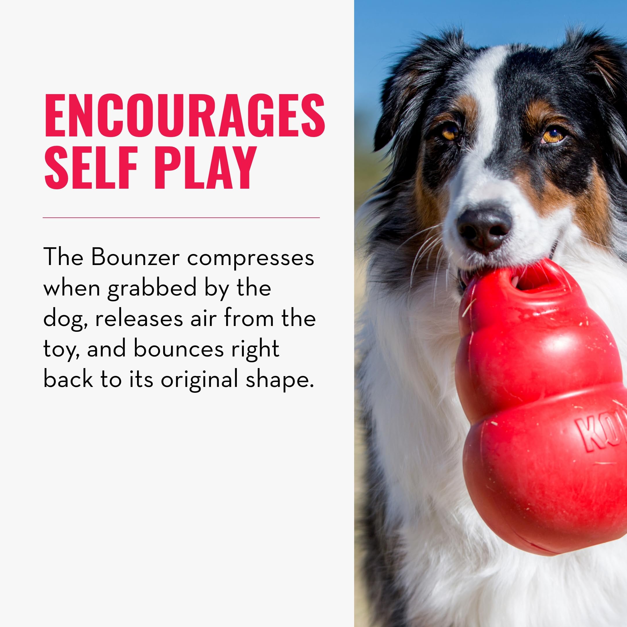 Kong - Bounzer - Medium