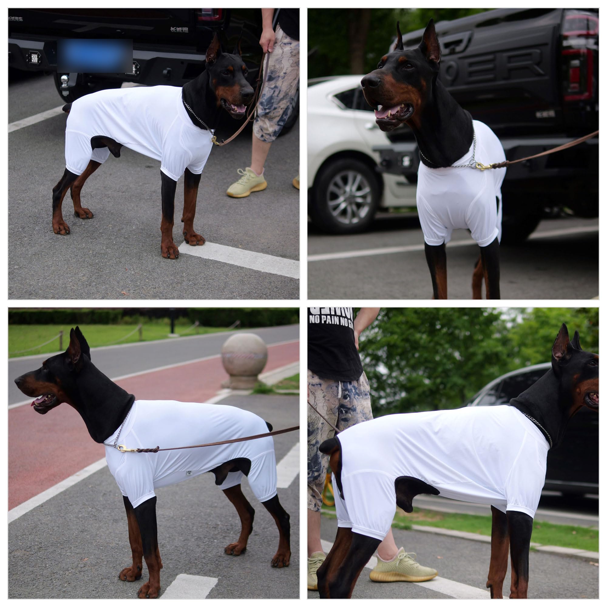 Lovelonglong Dog Jumpsuit With Uv Protection And Quick-Dry Fabric For Spring Summer Pet Pajamas White M