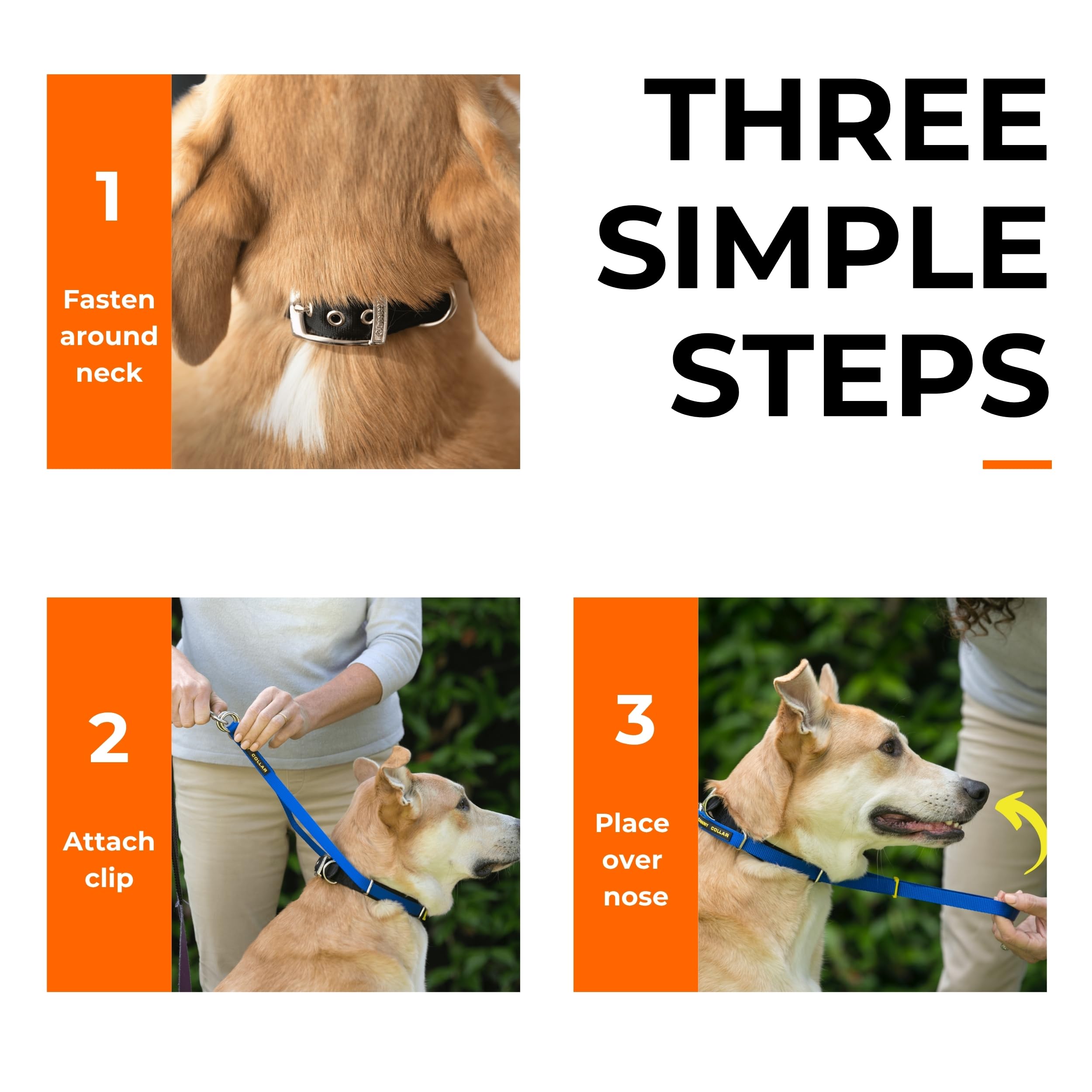Canny Collar No-Pull Dog Collar - The Kind, Gentle Head Collar For Dogs| Dog Training Tool For Easier Dog Walking | Black - Size 1