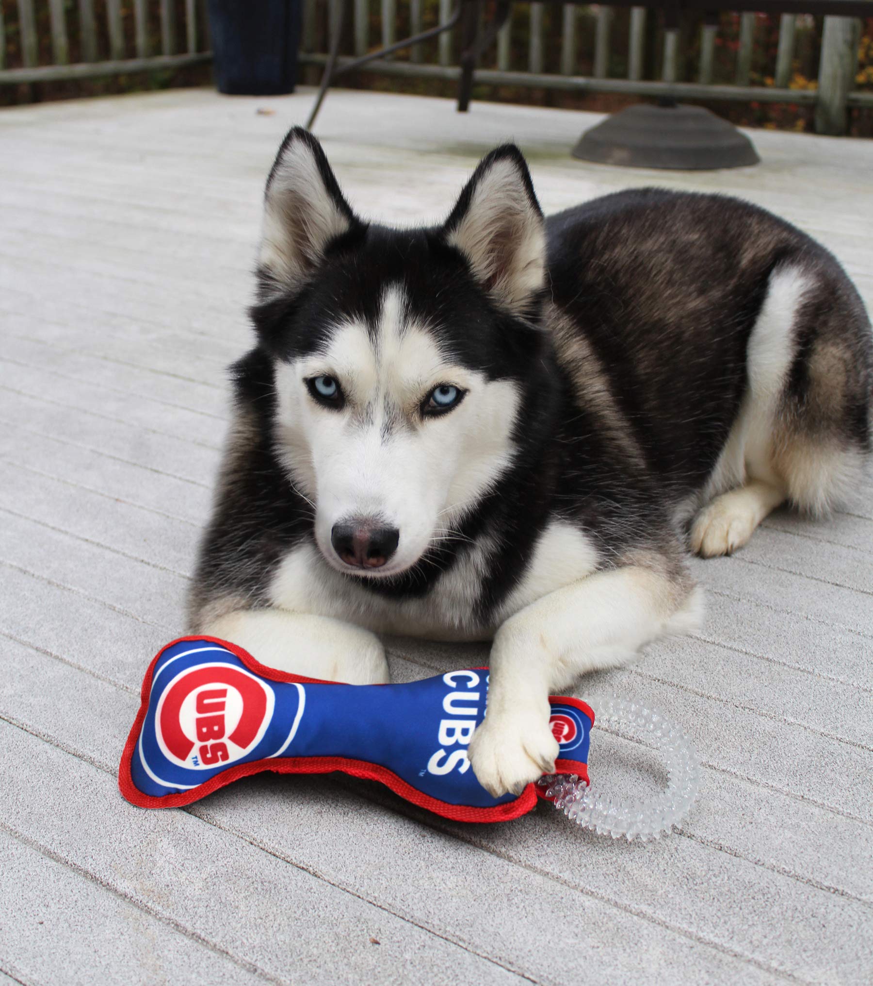 Mlb Chicago Cubs Bone Shaped Dental Dog Tug Toy With Squeaker. Tough Pet Toy For Healthy Fun, Teething, And Cleaning Pet'S Teeth