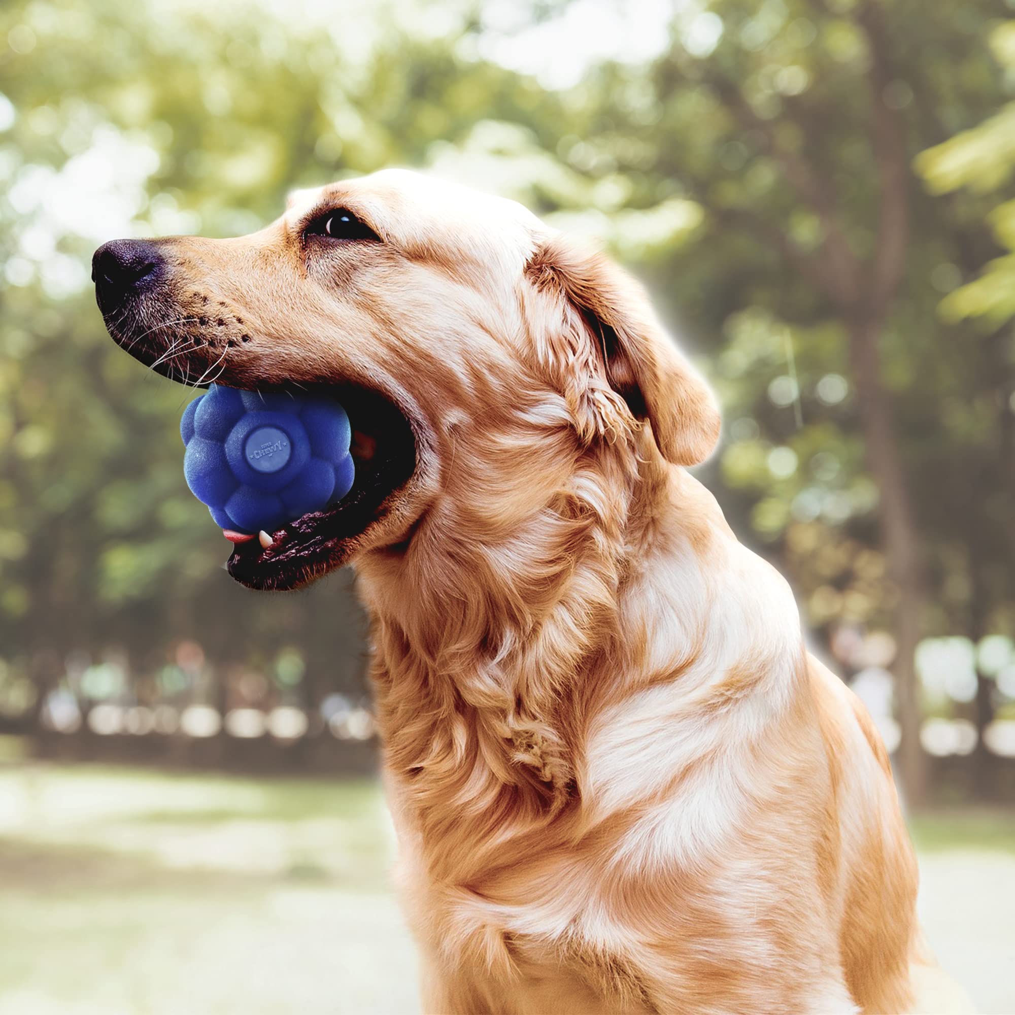 SuperChewy Tough Tumbler Ball Toy | Lifetime Replacement | Strong Natural Rubber | Smear Treats Inside to Excite Dogs | Ultra Du