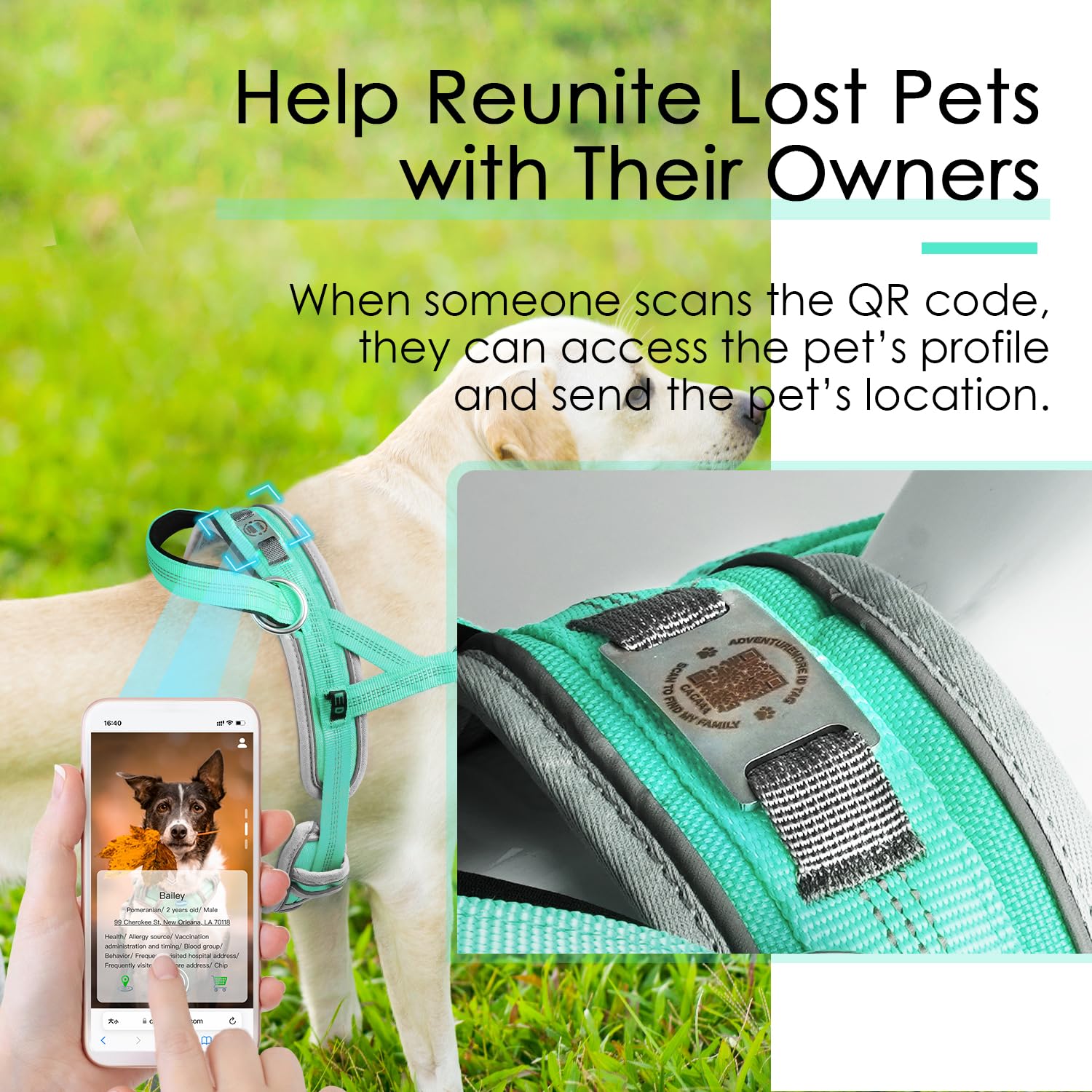Adventuremore Small Dog No Pull Harness With Qr Code Tag, Adjustable Reflective Vest, Front Clip Handle For Training Walking Tea