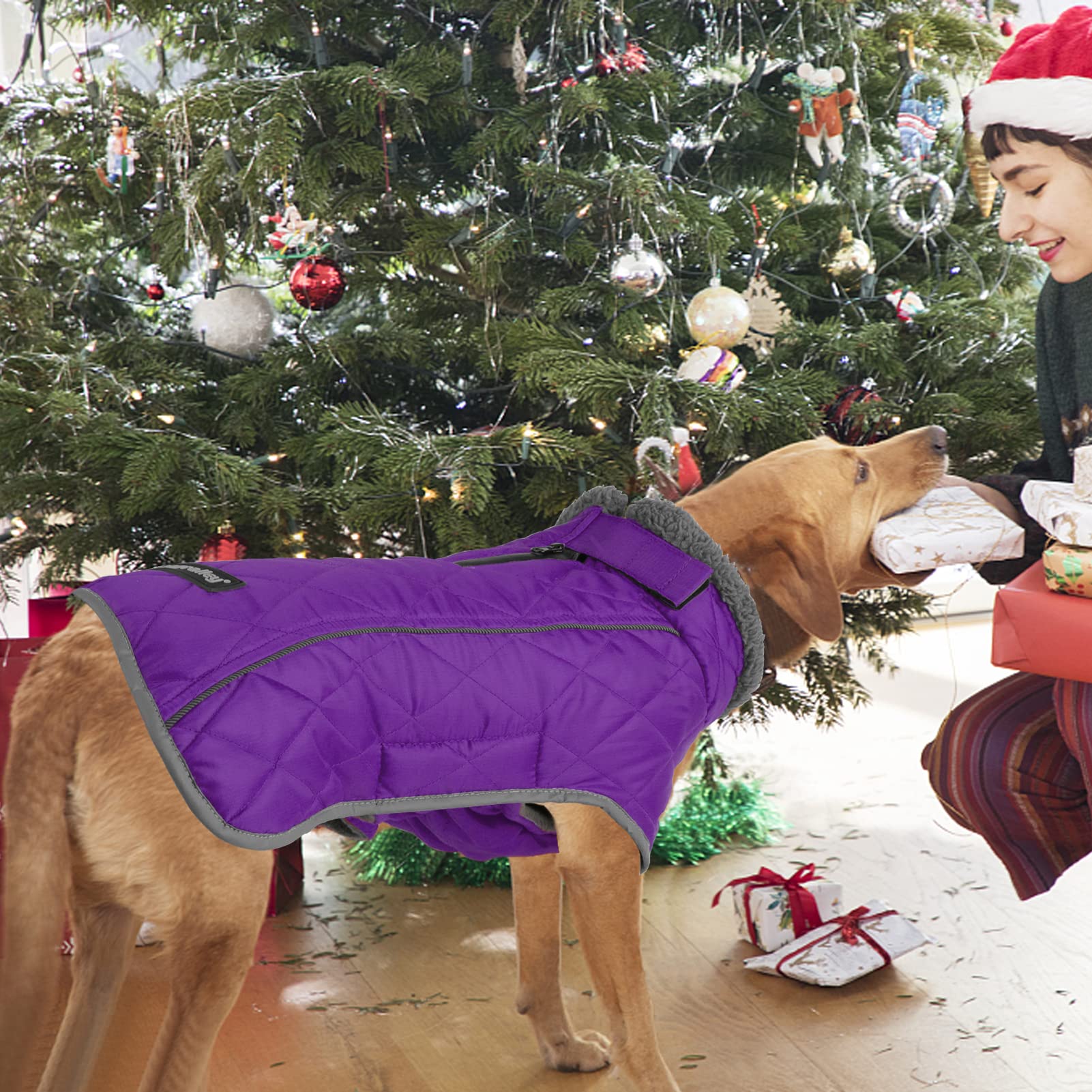 Fragralley Waterproof Dog Coat Small, Fleece Lined, Adjustable Reflective Winter Jacket, Purple S, Model TC2011