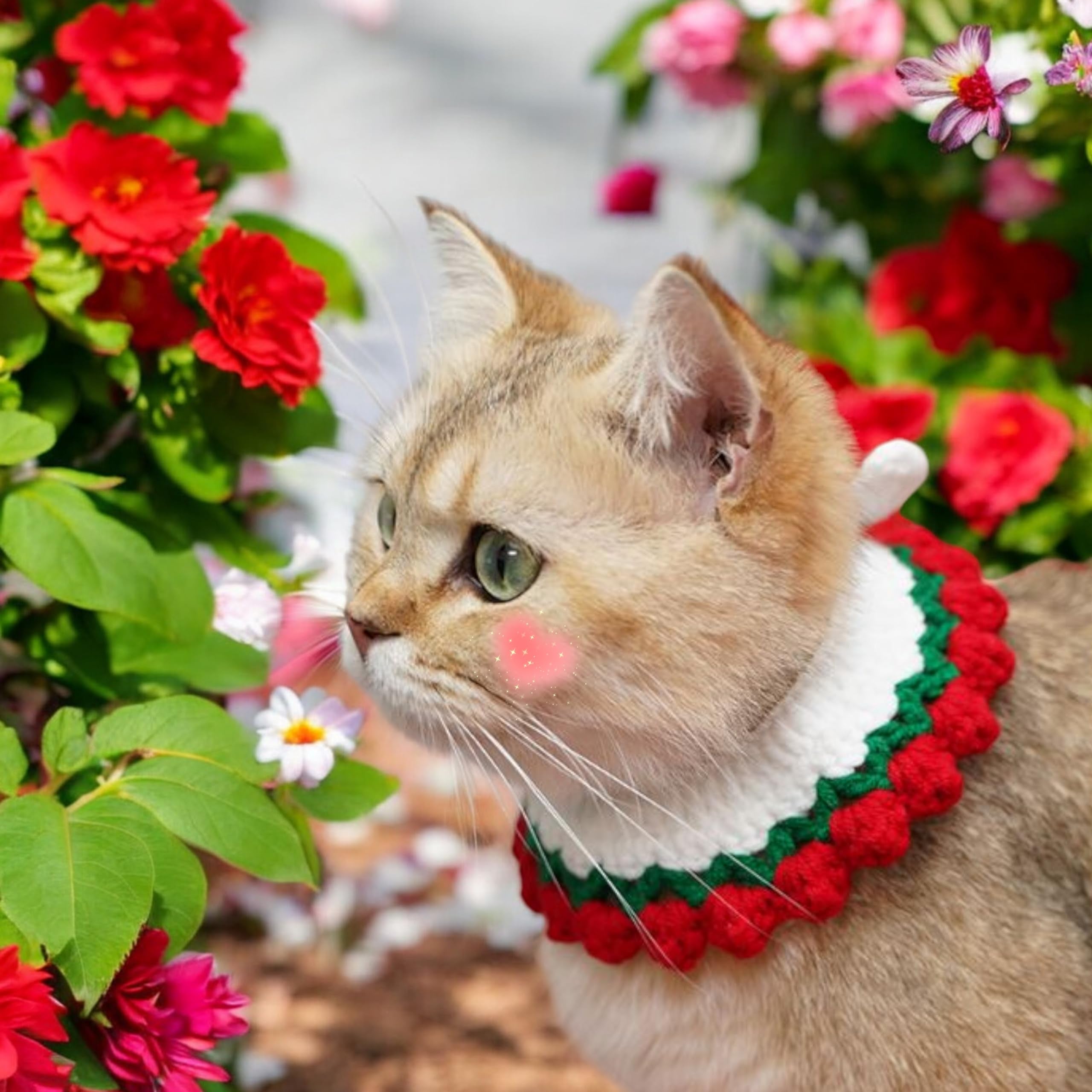 Cute Rabbit Knitted Hat and Collar Set, Bunny Hats and Necklace for Rabbits Guinea Pig Small Dog Cat, Hats for Pet Rabbits, Pet