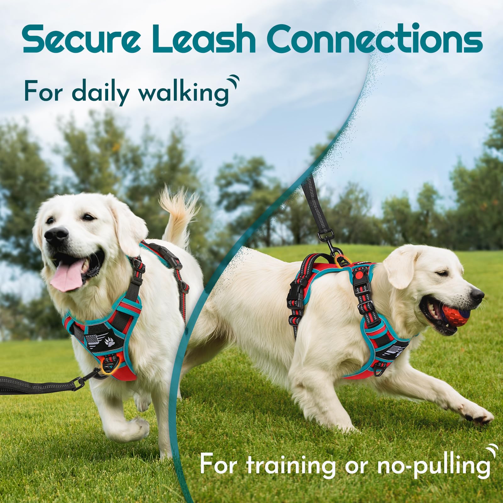 Eagloo Dog Harness Small Sized, Easy Wearing with 3 Buckles, Adjustable No Pull Pet Harness with 2 Rings for Walking, No Chock R