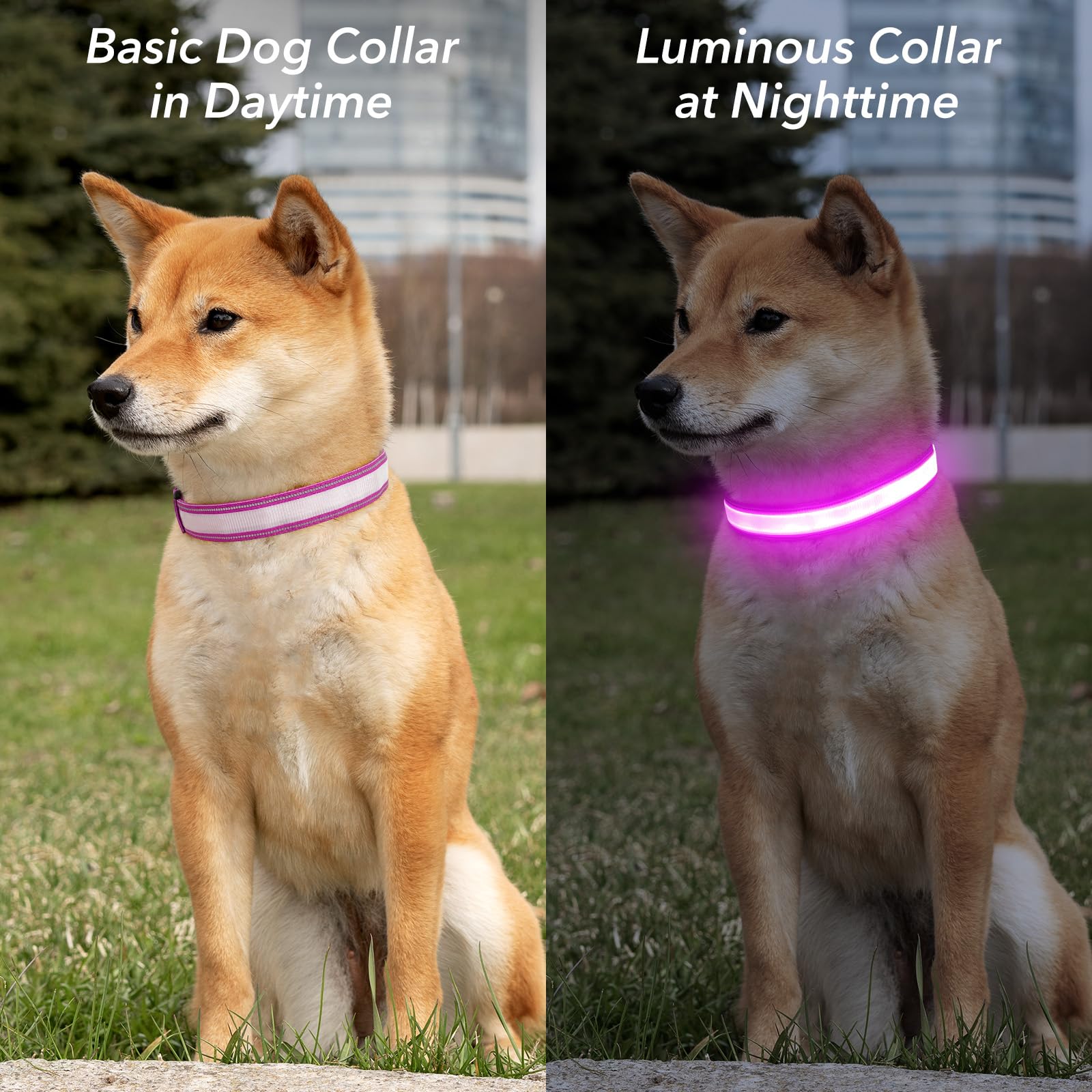 Visinite Light Up Dog Collars, Lighted Dog Collars Rechargeable Waterproof, Dog Glow Collar for Pet Safety Dog Lights Night Walk