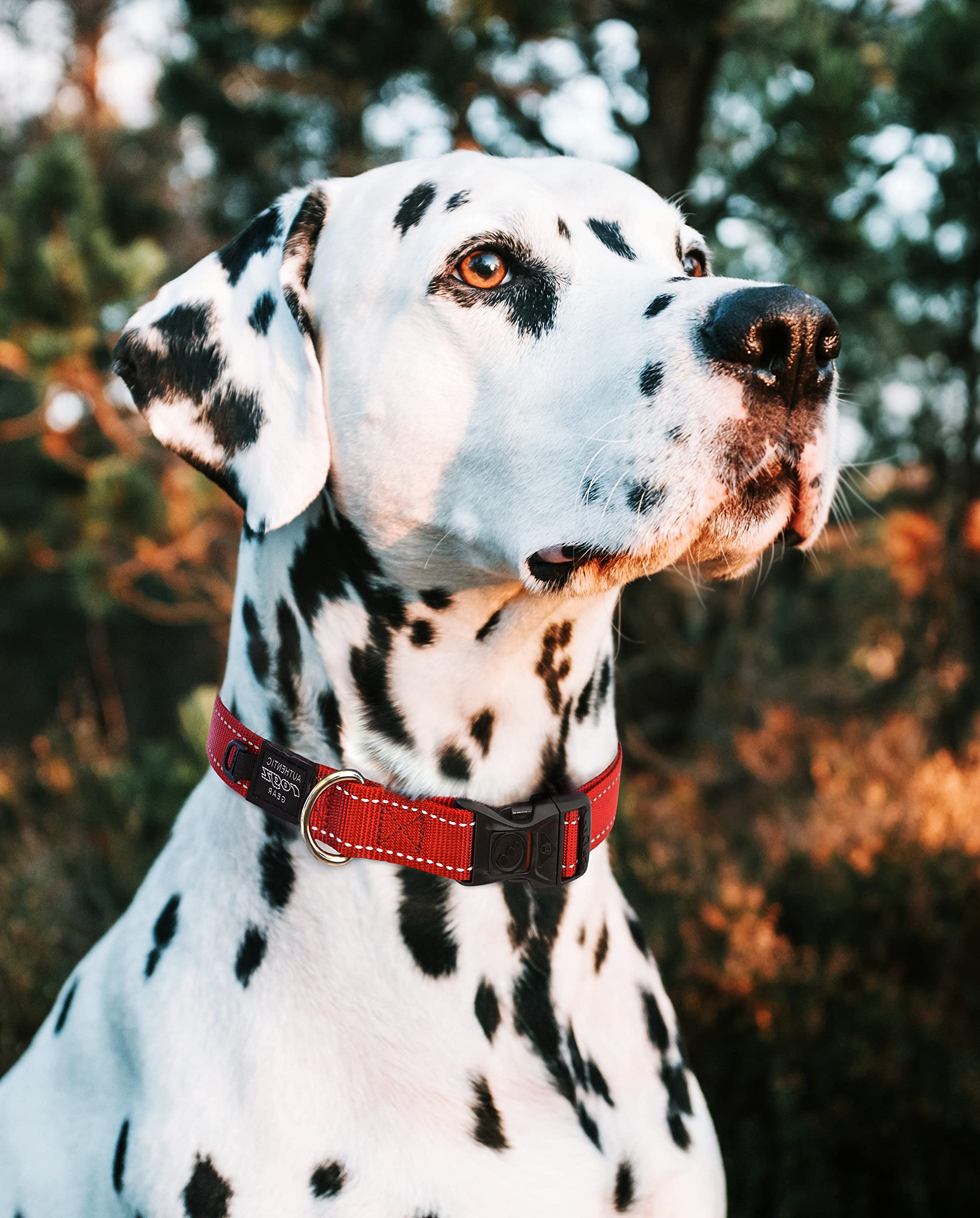 Reflective Dog Collar For Medium Dogs, Adjustable From 12-17 Inches, Blue