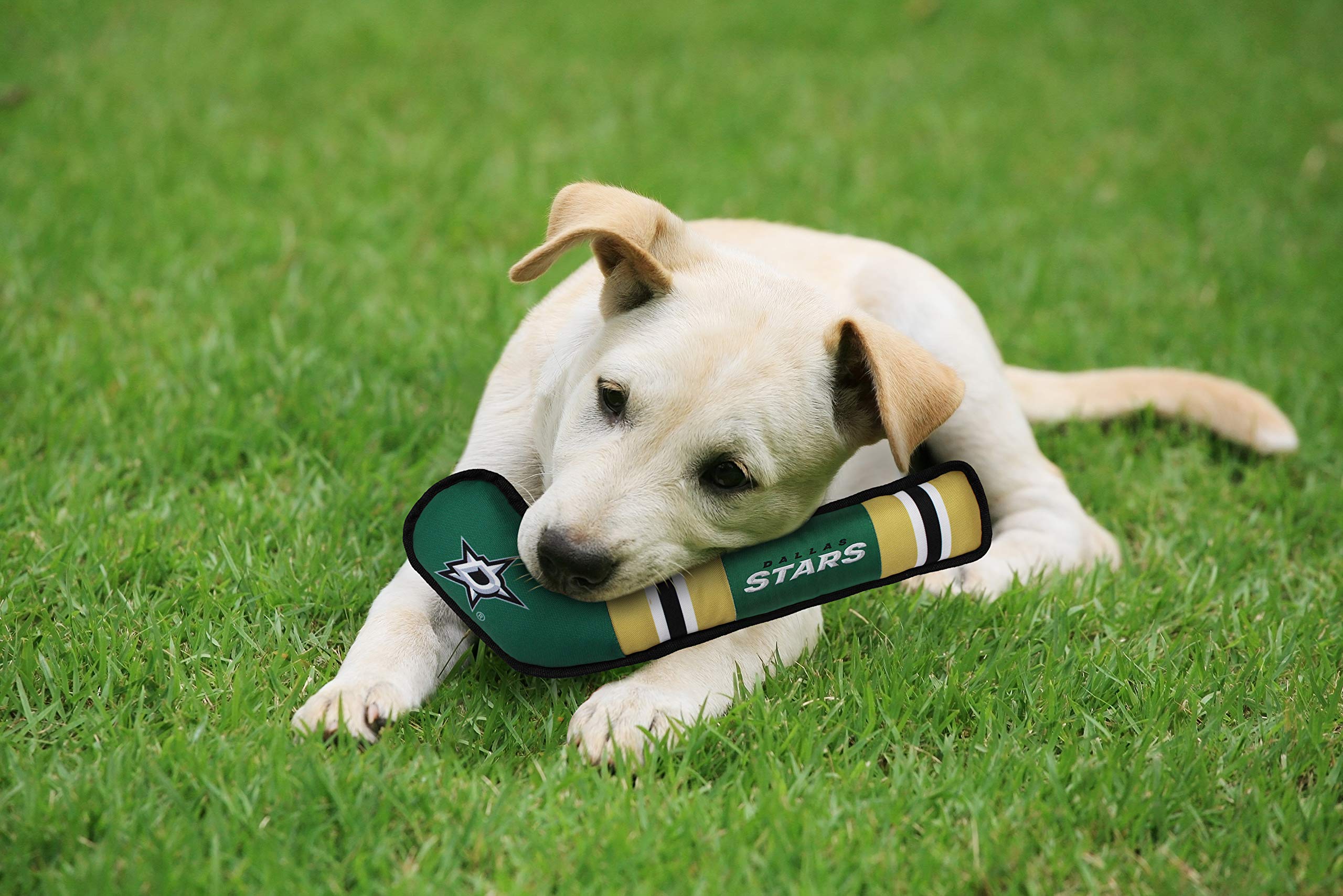 Pets First Nhl Dallas Stars Stick Toy For Dogs & Cats. Play Hockey With Your Pet With This Licensed Dog Tough Toy Reward!