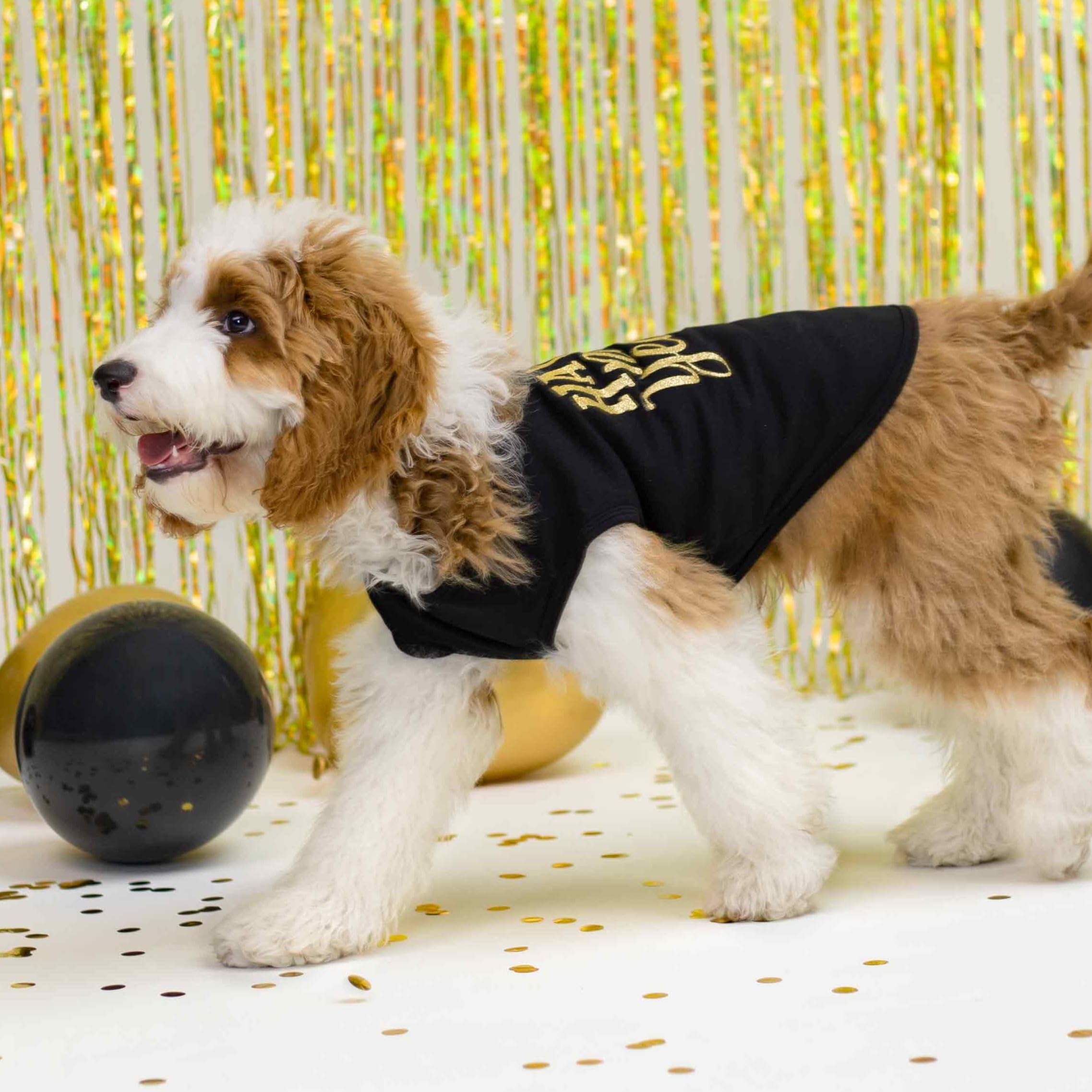 Fitwarm Happy New Year Dog Shirt, Holiday Dog Clothes For Small Dogs Boy Girl, Funny Pet Christmas Outfit, Black, Gold, Large