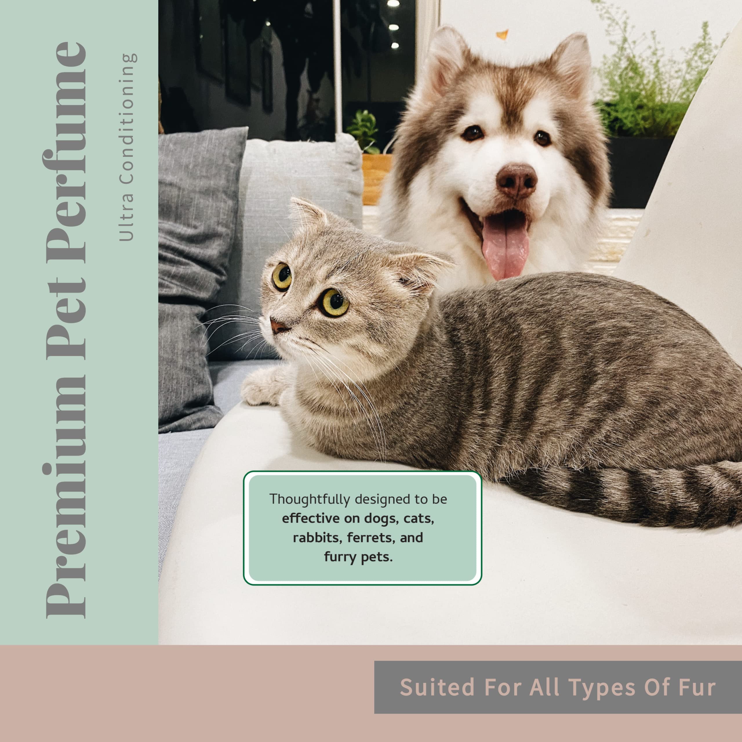 Begley’S Natural Pet Cologne And Deodorizer - Premium Essential Oil Scented Dog Body Spray And Cat Perfume - Dog Grooming Spray And Pet Odor Eliminator - Cat Cologne Mist, Dog Cologne Spray Long Lasting - 8 Oz, Baby Powder, 2 Pack