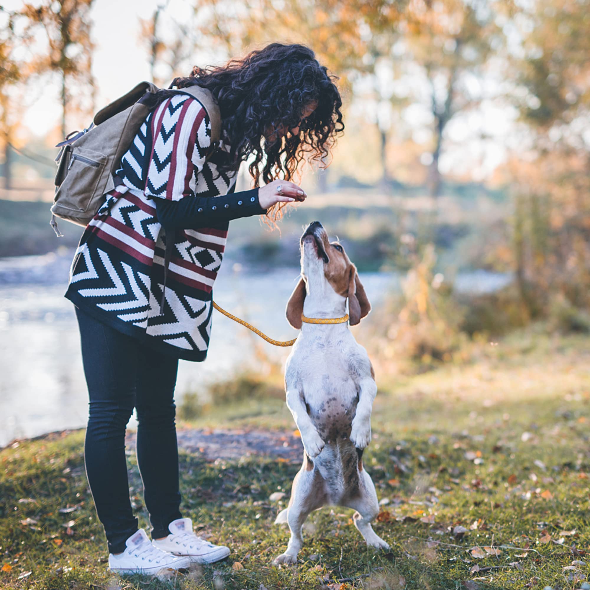 Petifine 6 Ft Slip Lead Dog Leash, Full Reflective Dog Training Leash, Heavy Duty Adjustable Pet Nylon Slip Rope Lead For Small Medium Large Dogs (3/8' X 6 Ft, Orange)