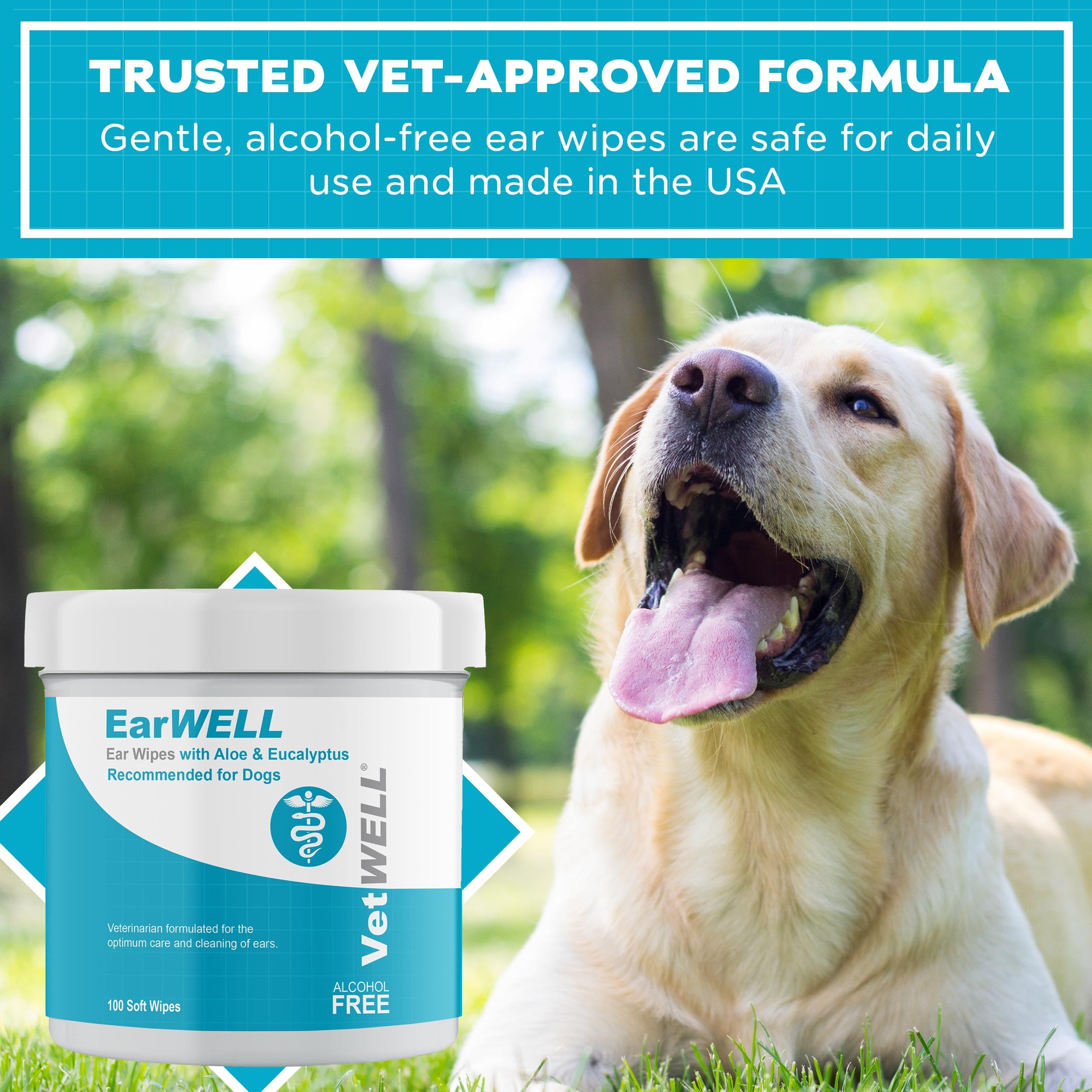 Dog Ear Wipes - Otic Cleaning Wipes for Infections and Controlling Ear Infections and Ear Odor in Pets - EarWELL by VetWELL - 10
