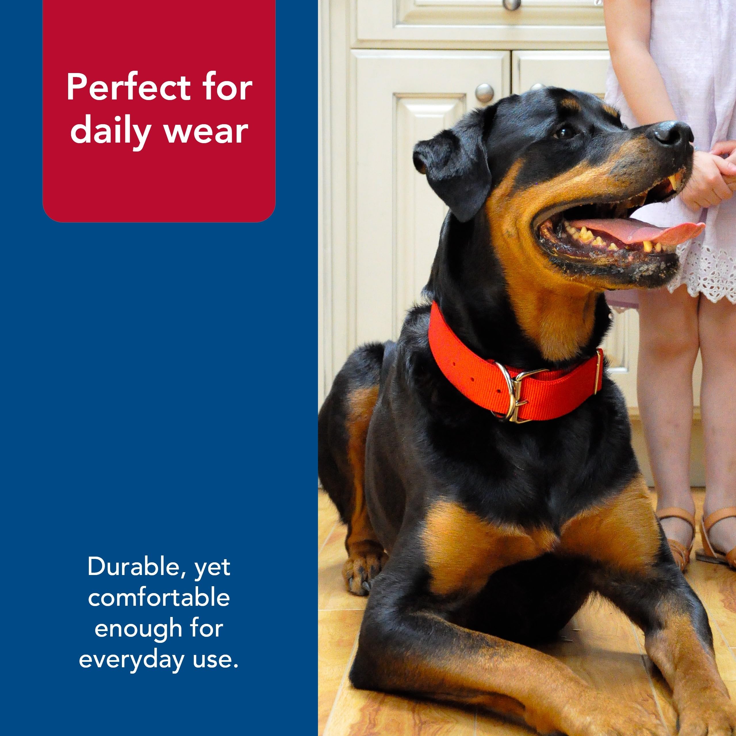 Coastal Macho Double-Ply Dog Collar - Heavy-Duty Nylon - Black - 20" - Comfortable with Roller Buckle