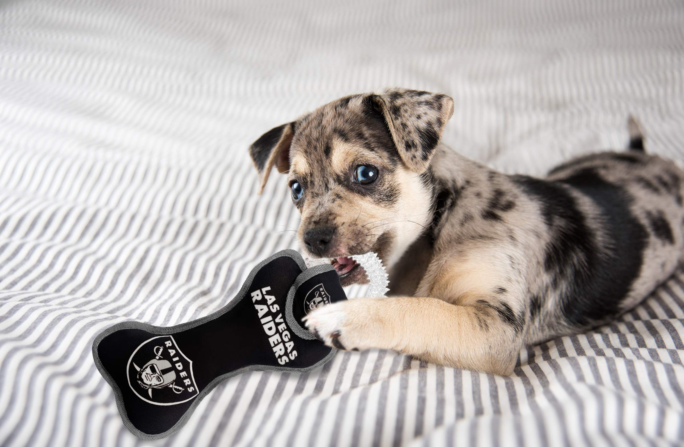 Pets First NFL Las Vegas Raiders Football Dental Tough Dog TUG Bone Toy with Built-in Squeaker Attached to a Safe Rubber Teethin