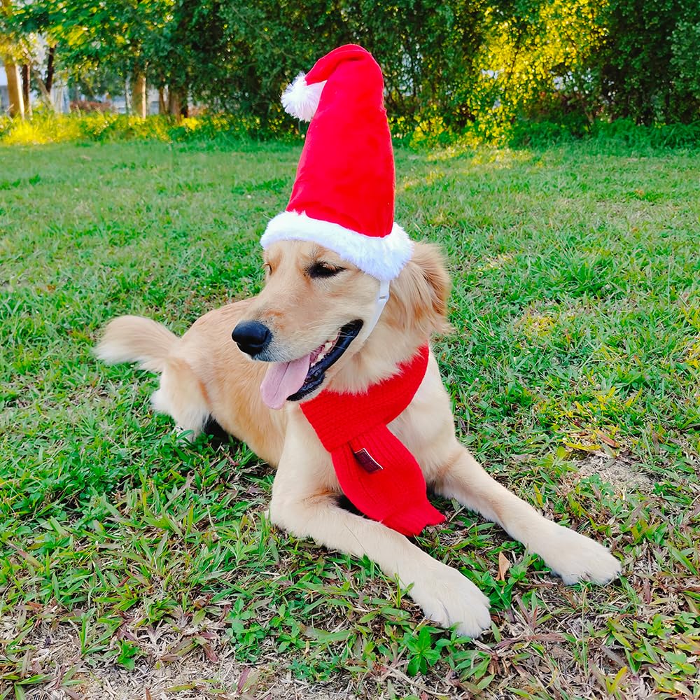 Santa Hat & Scarf Set For Medium Large Dogs, 2 Pcs Adjustable Dog Christmas Costume, Fall Winter