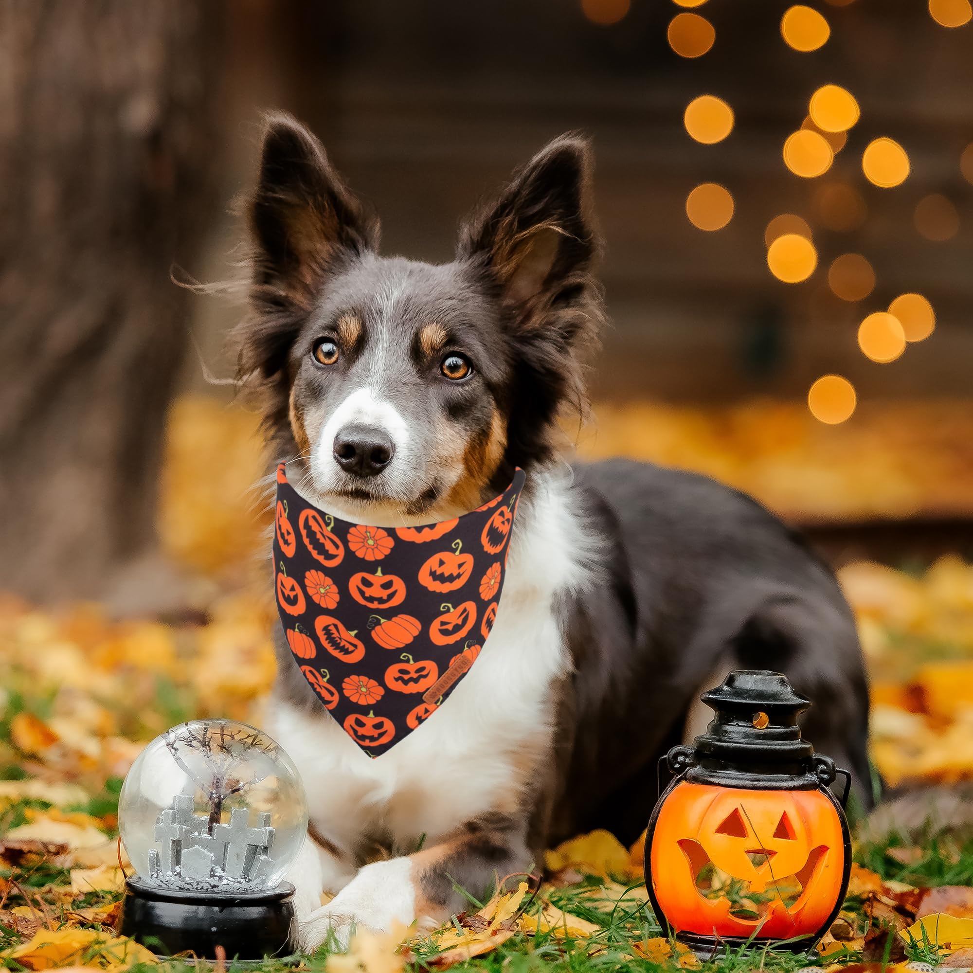 Adoggygo Halloween Dog Bandana, Pumpkin Bat Design Dog Scarf, Premium Durable Fabric, Orange Black Dog Halloween Bandanas For Medium Large Dogs Pets (Large, Halloween)