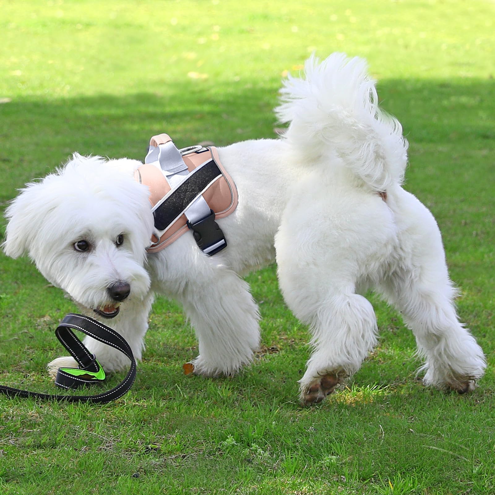 Bolux Dog Harness, No-Pull Reflective Dog Vest, Breathable Adjustable Pet Harness With Handle For Outdoor Walking - No More Pulling, Tugging Or Choking