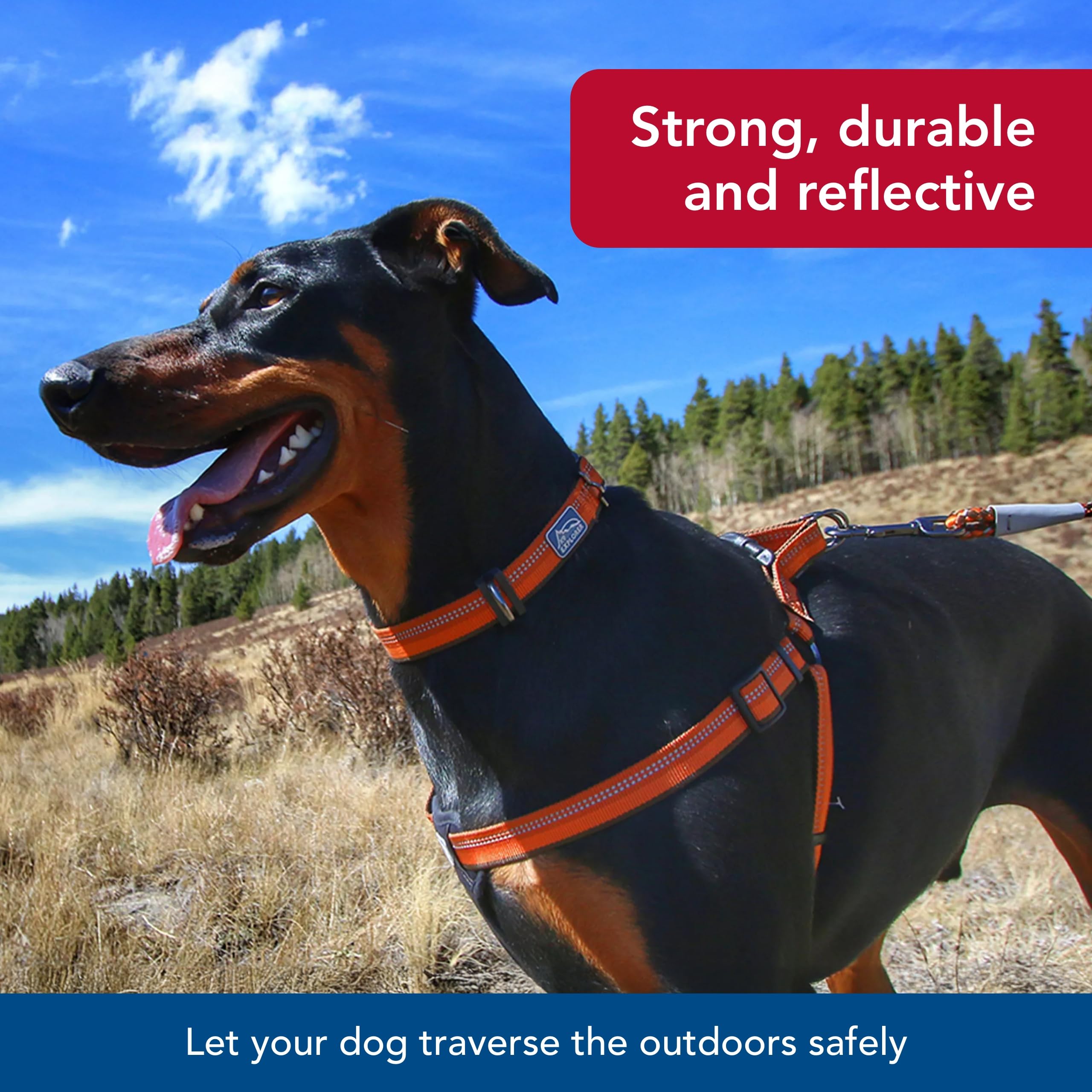 Coastal Pet K9 Explorer Reflective Adjustable Dog Collar - Comfortable Collar For The Outdoors - Durable, Lightweight Accessory With Side-Release Buckle - Berry, 1' X 12-18'