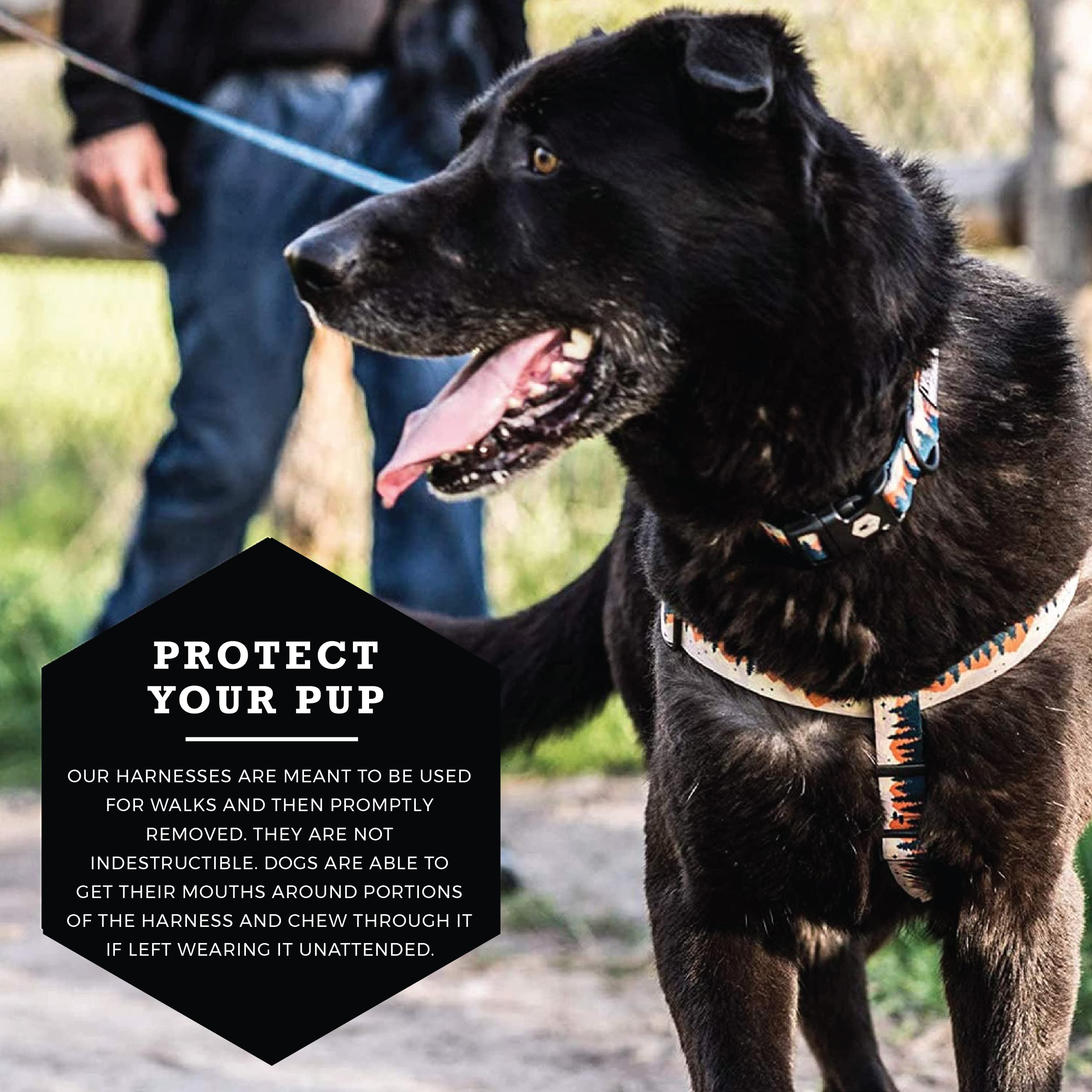 Wolfgang Heavy Duty Adjustable Dog Harness, Pull-Tested To Over 800 Lbs For Walking & Training, Overland Print, Small