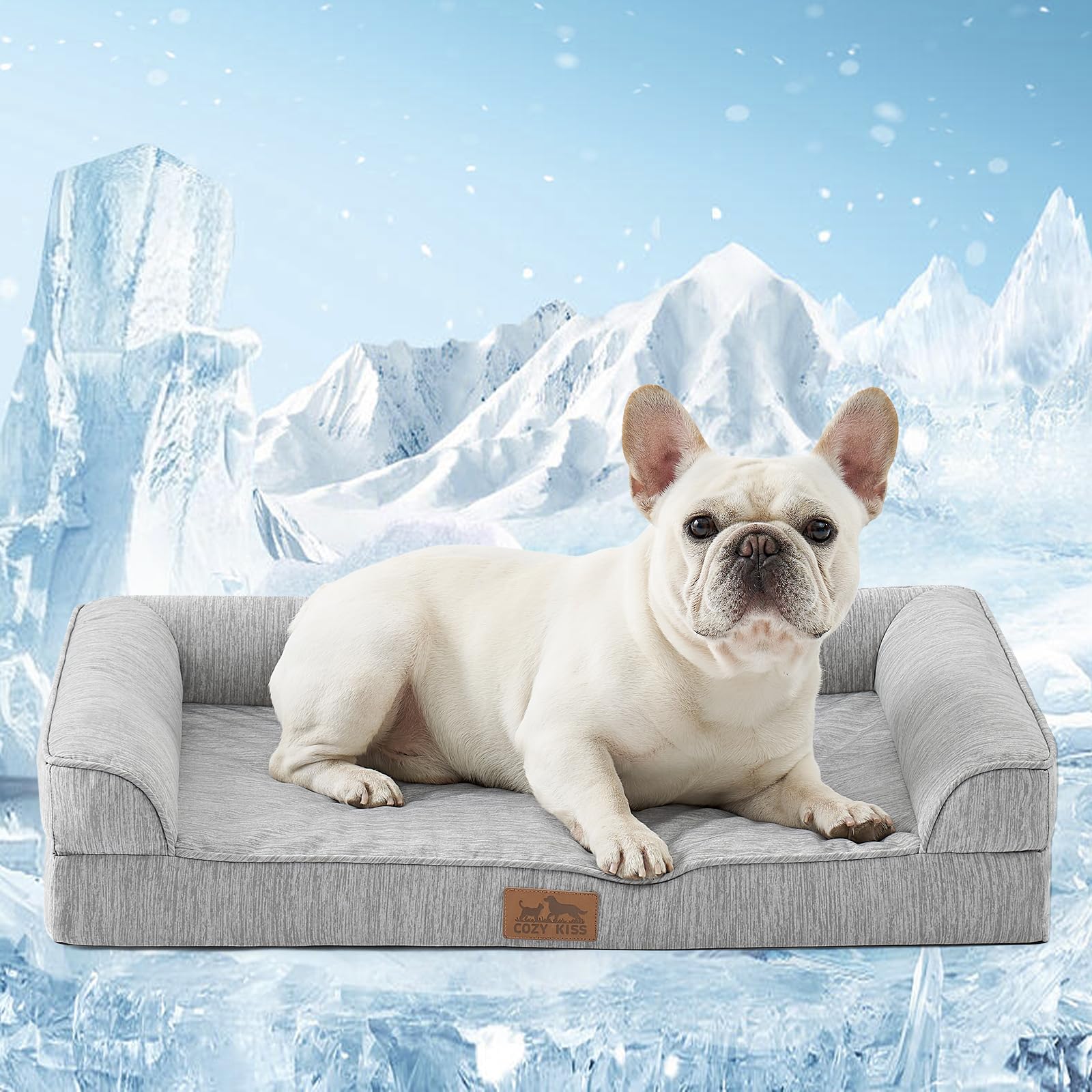COZY KISS Cooling Dog Bed 76x51x15cm, Orthopaedic Small Pet Bed With Removable Washable Cover, QMax>0.4 Summer Pet Sofa with Eg