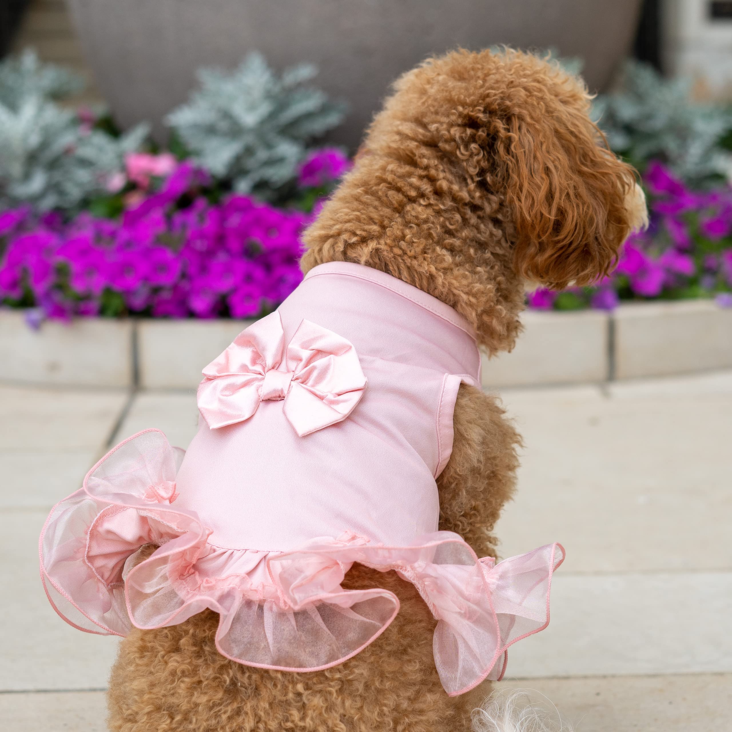 Christian Siriano New York Pink Tiered Bow Dress For Dogs, Xs