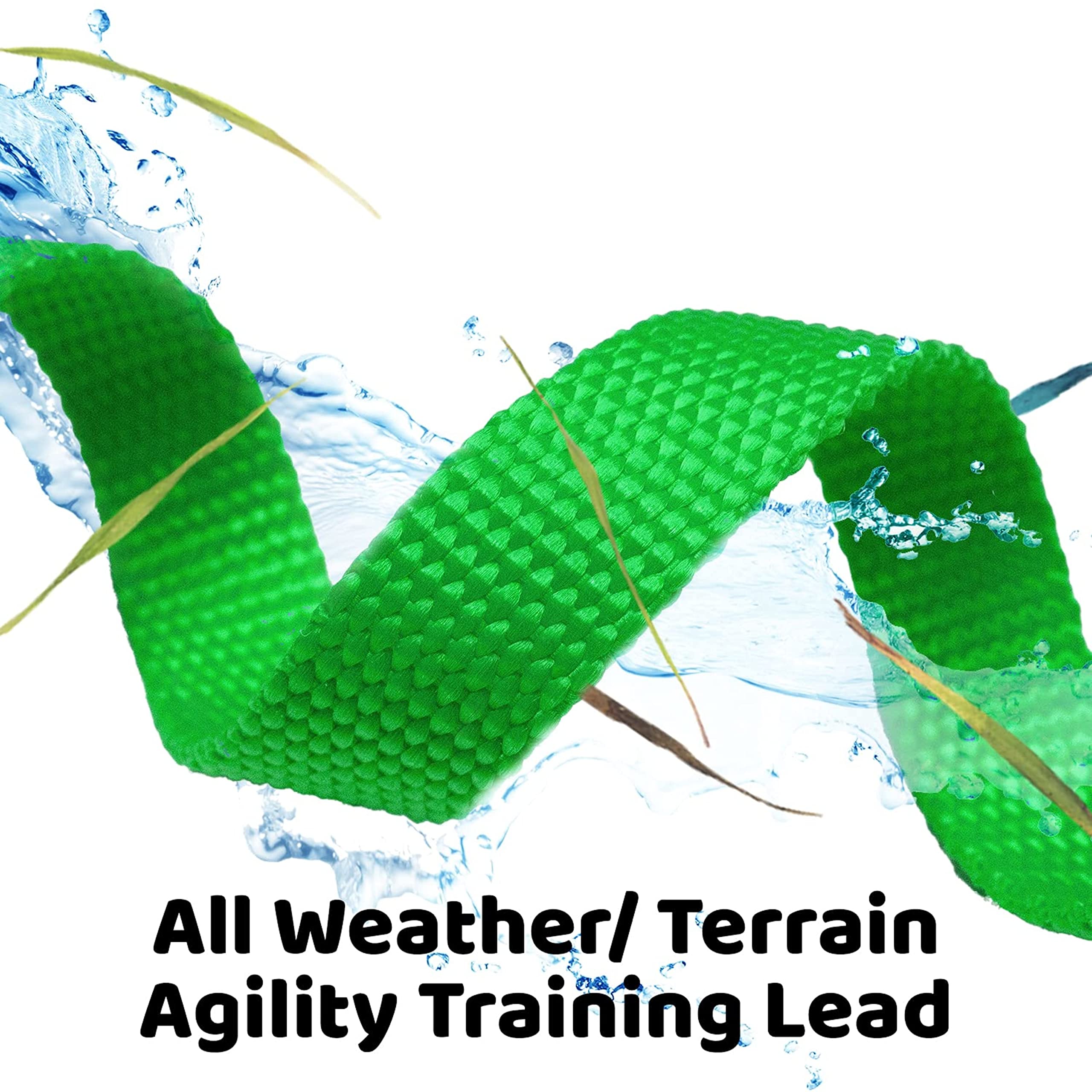 Downtown Pet Supply Dog/Puppy Obedience Recall Training Agility Lead