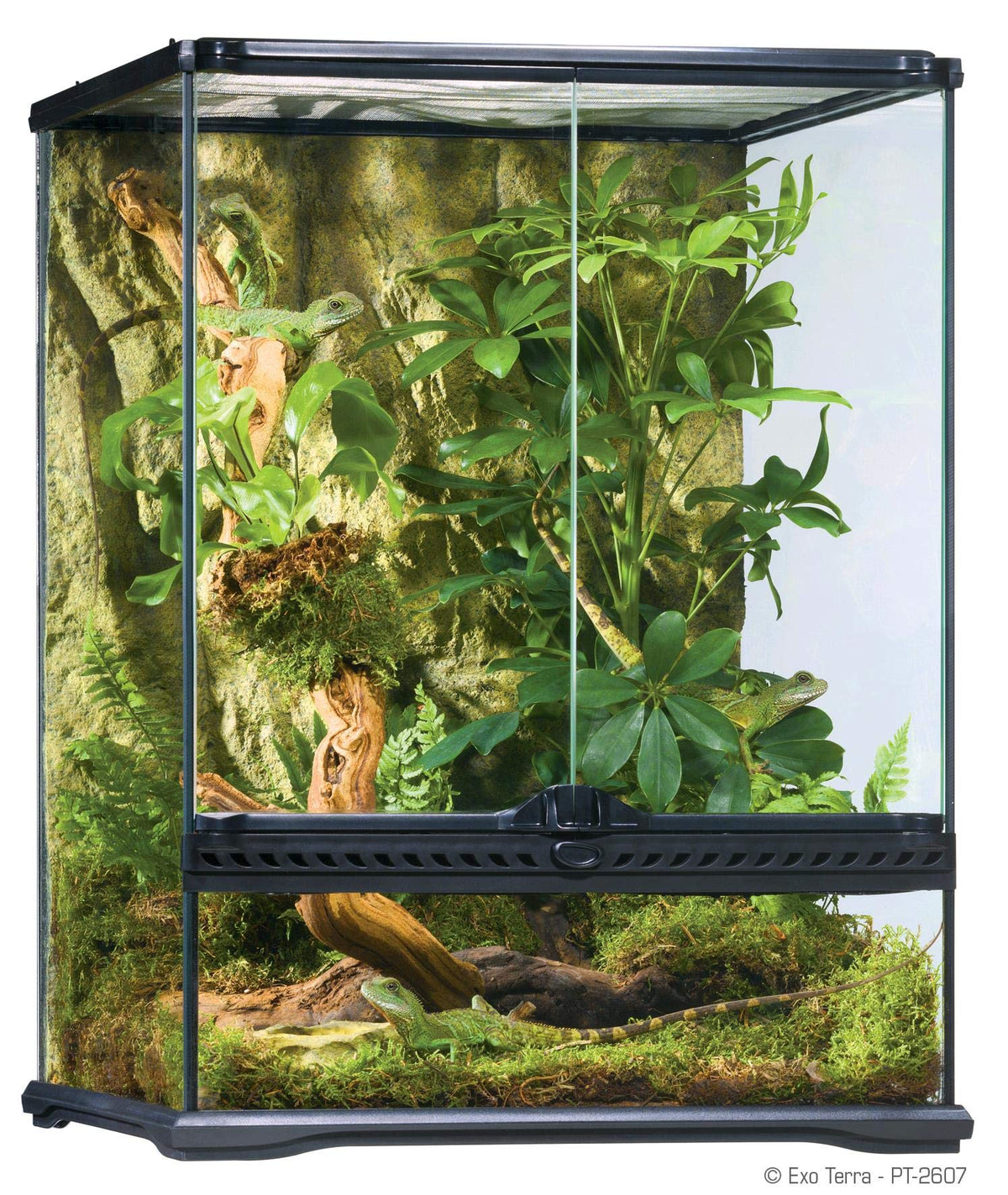 Exo Terra Glass Natural Terrarium Kit, For Reptiles And Amphibians, Small Tall, 18 X 18 X 24 Inches, Pt2607A1